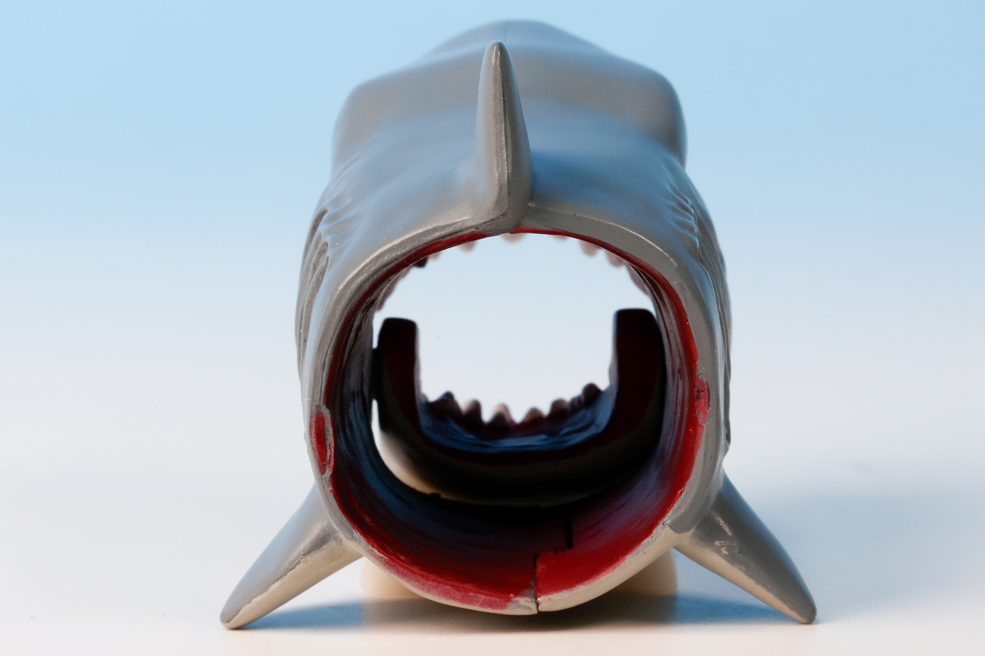 めったに見ない位置から眺めるのも面白い