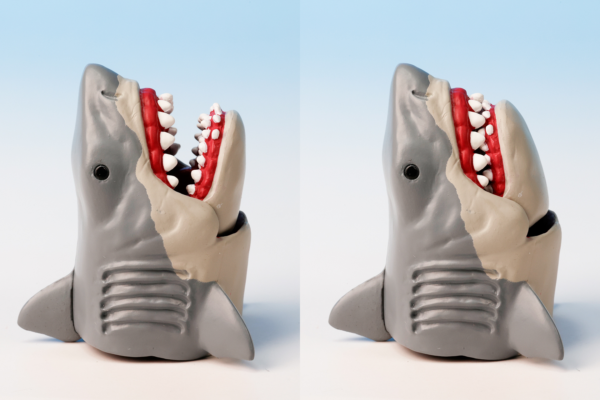 サメの口は開け閉めが可能だ