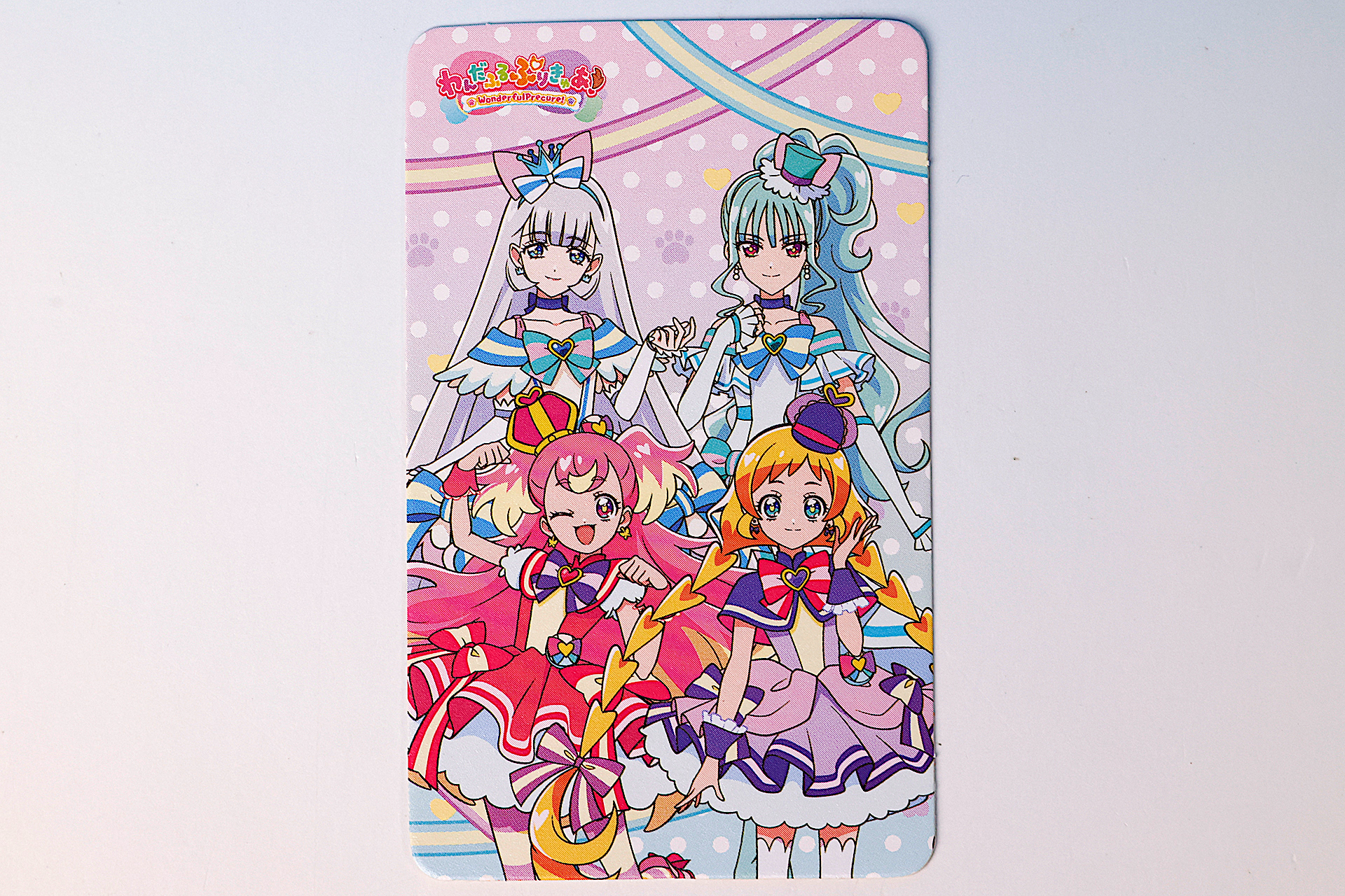 こちらはパスケースの中に入れることができる付属のカードだ