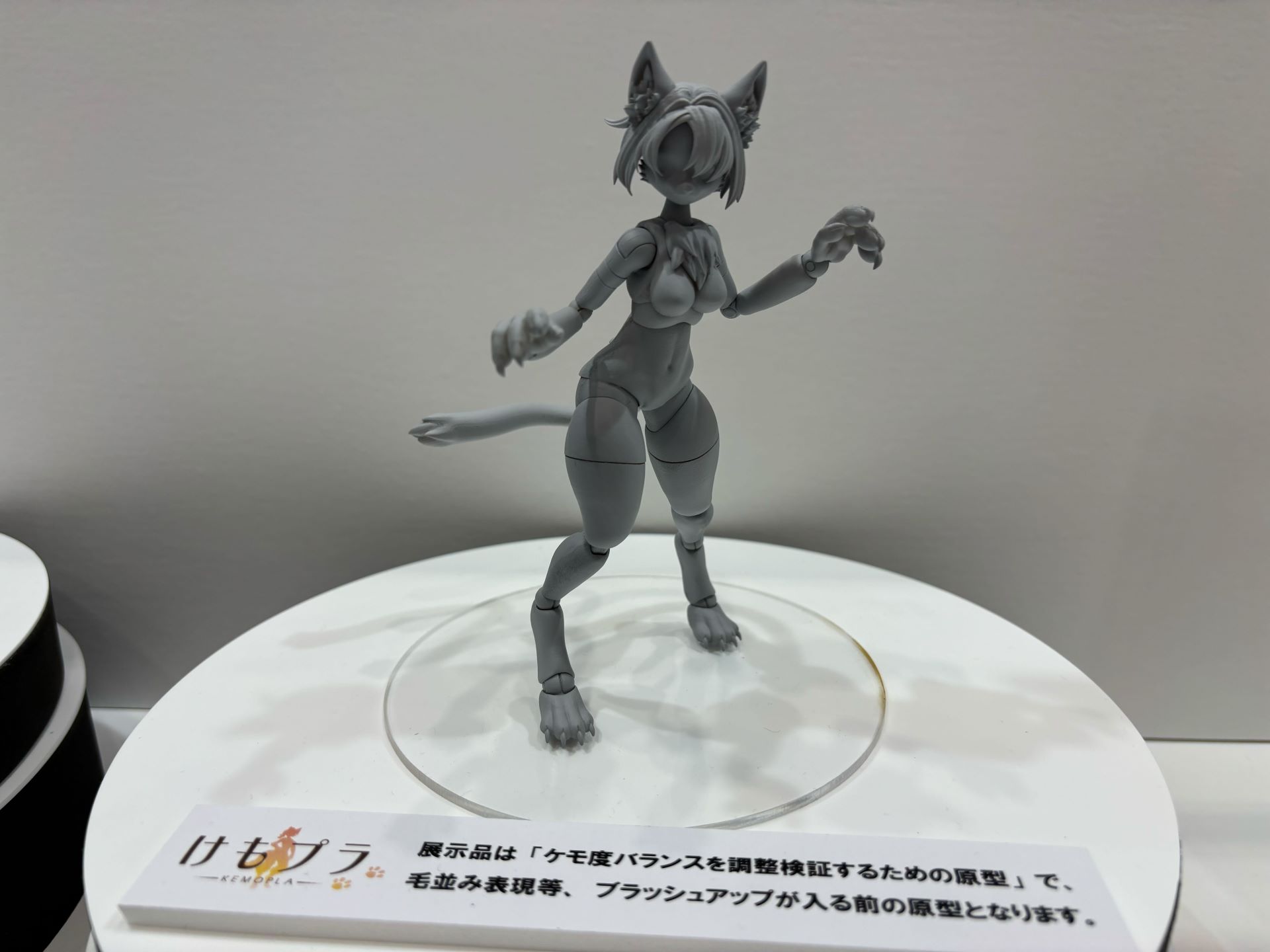 「けもプラ」シリーズ