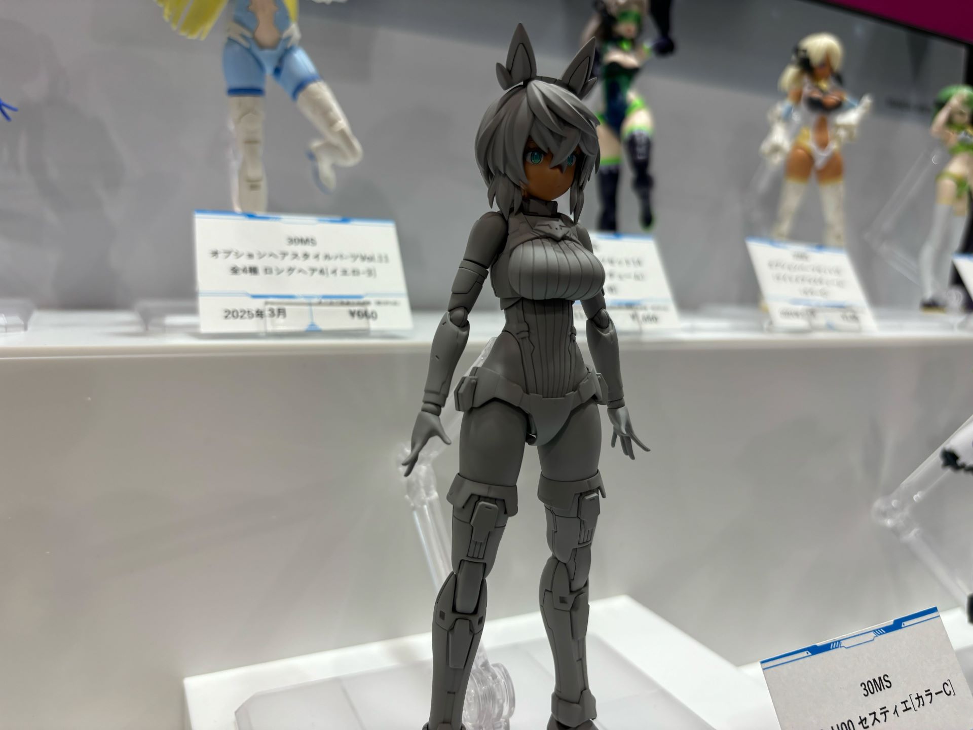 「SIS-H00 セスティエ[カラーC]」（本来の仕様とは異なります）