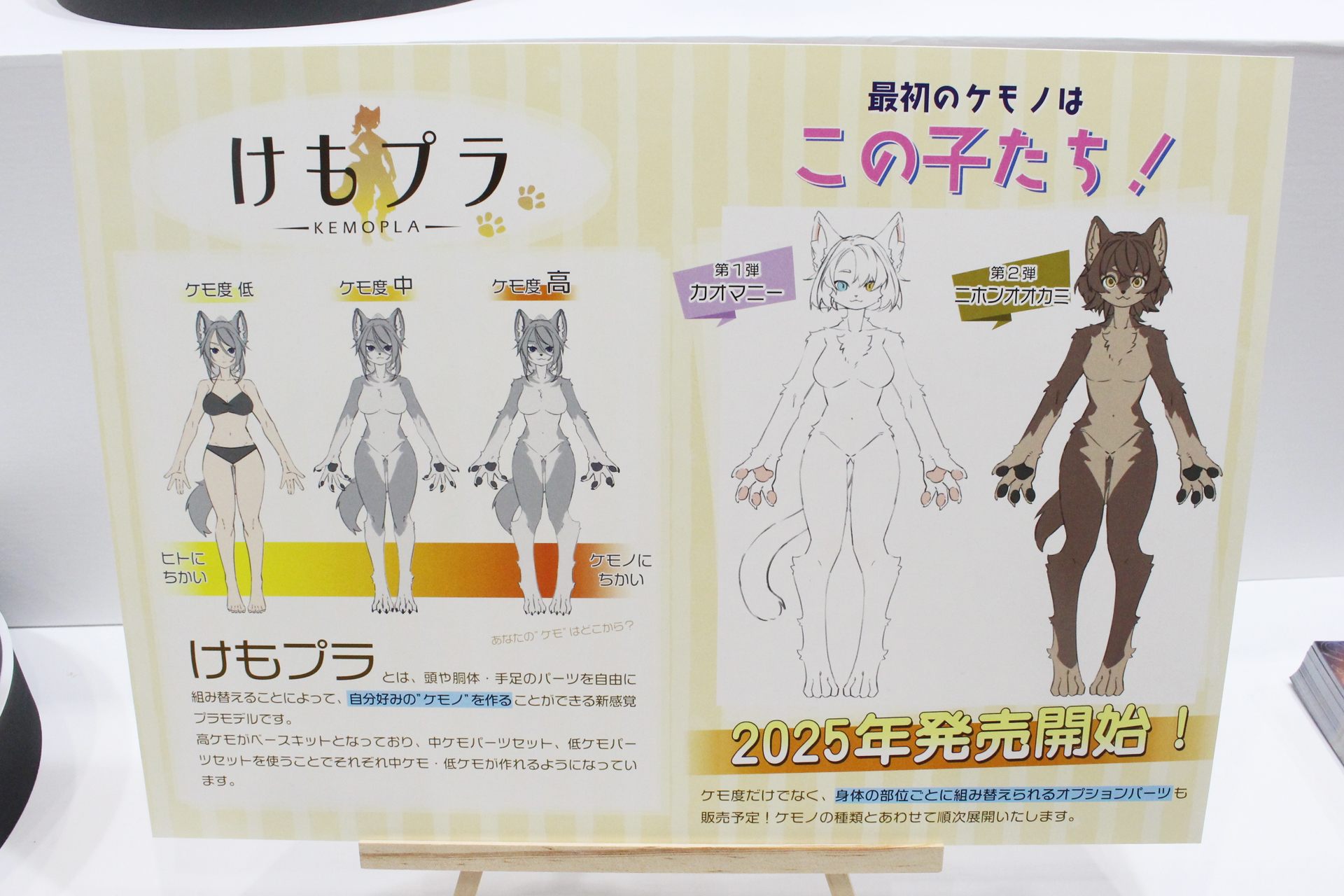 ラインナップは右の2種類。第1弾のカオマニーはネコの一種だ