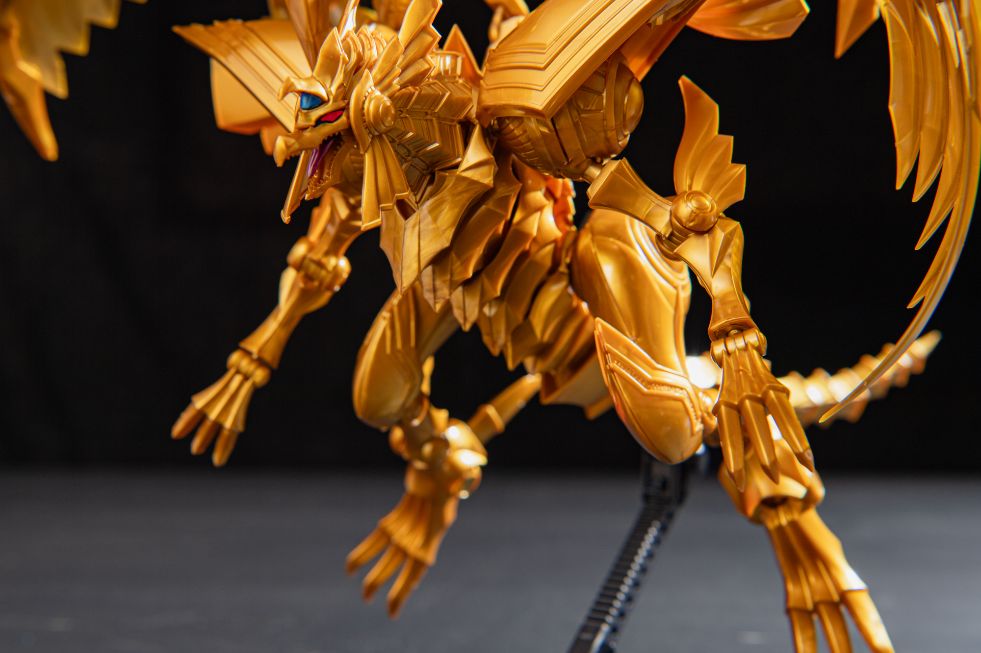 撮影していて白よりも黒の方が映えると感じた。