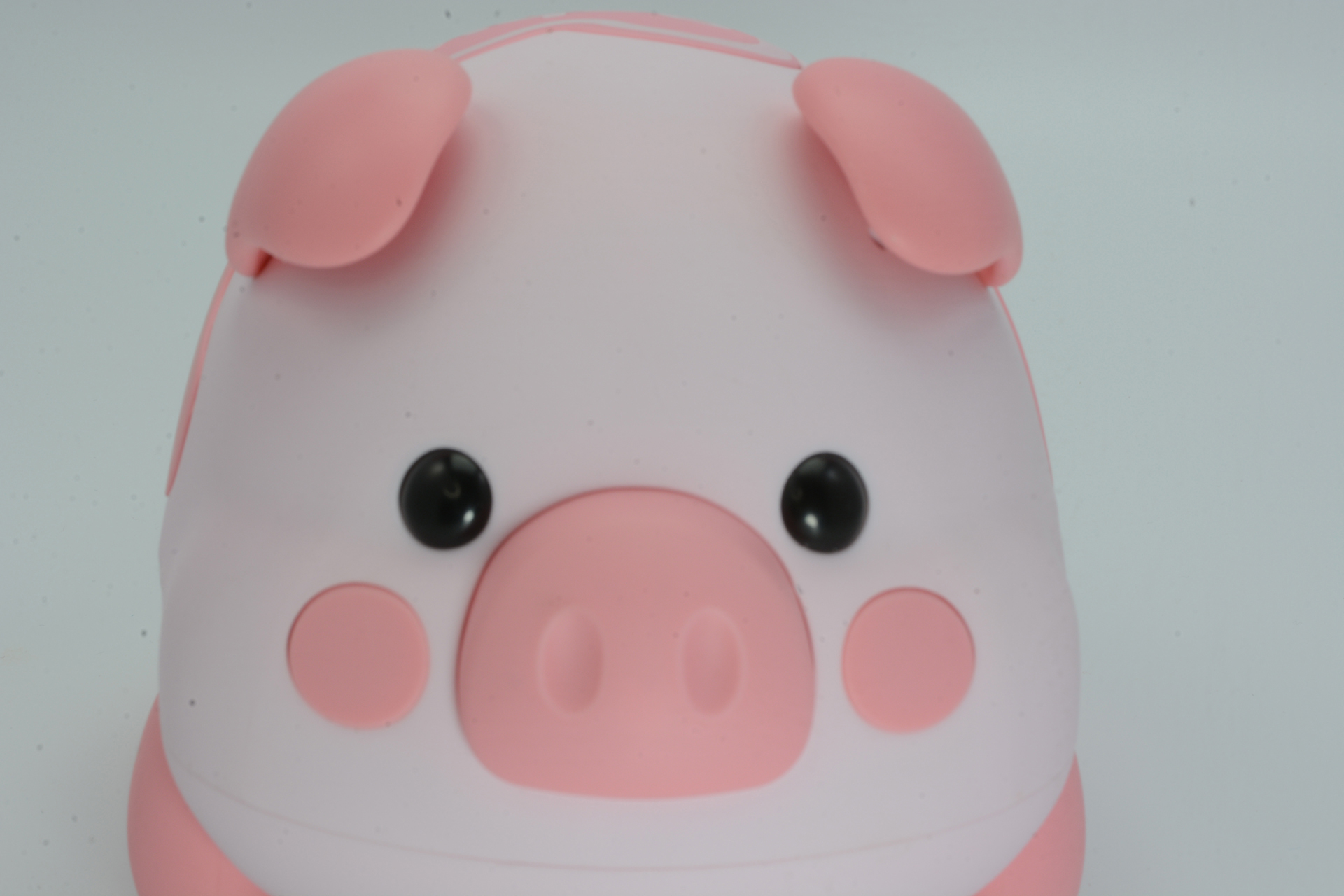 つぶらな瞳と大きな鼻