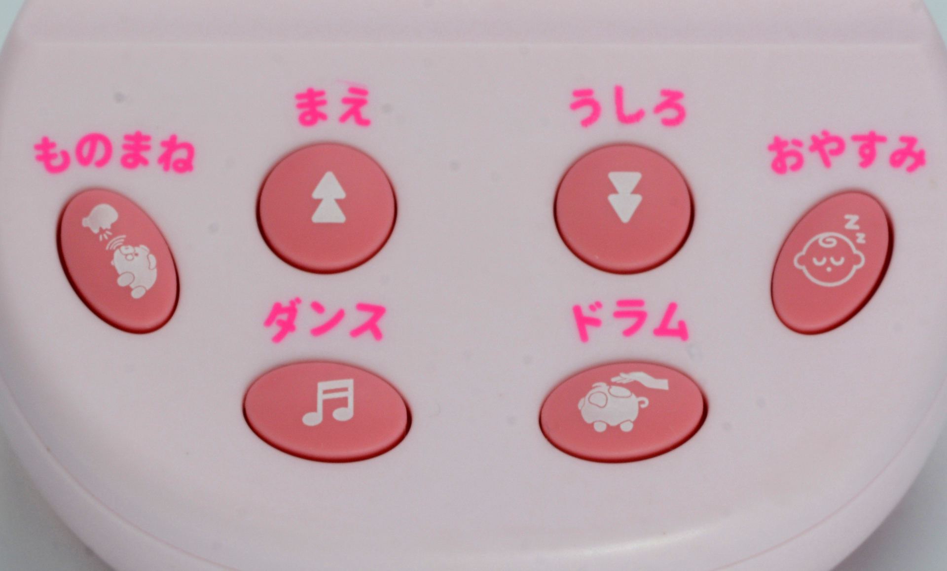 リモコンのボタンを押すことで様々なアクションが楽しめる