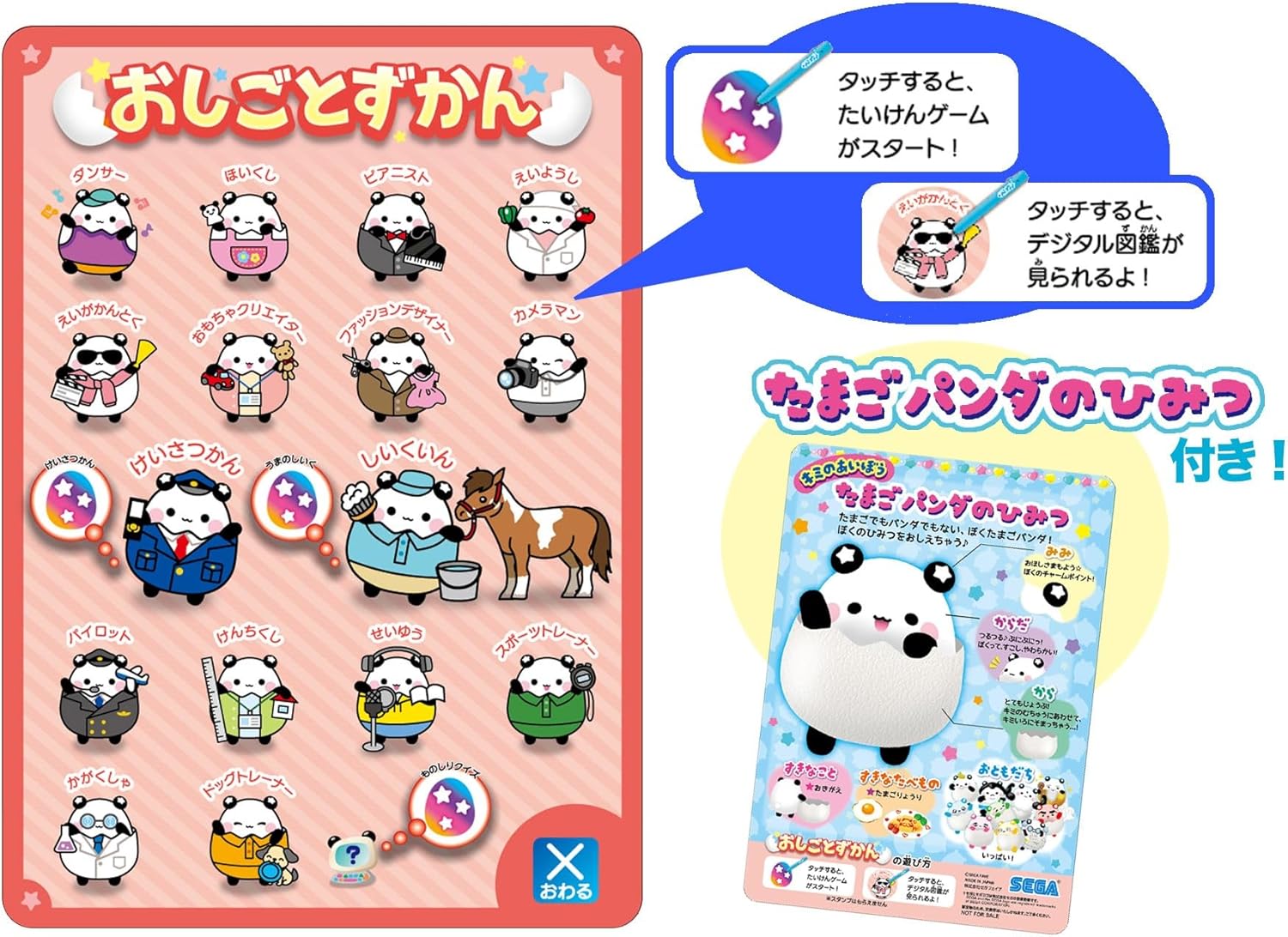 様々な体験ができる