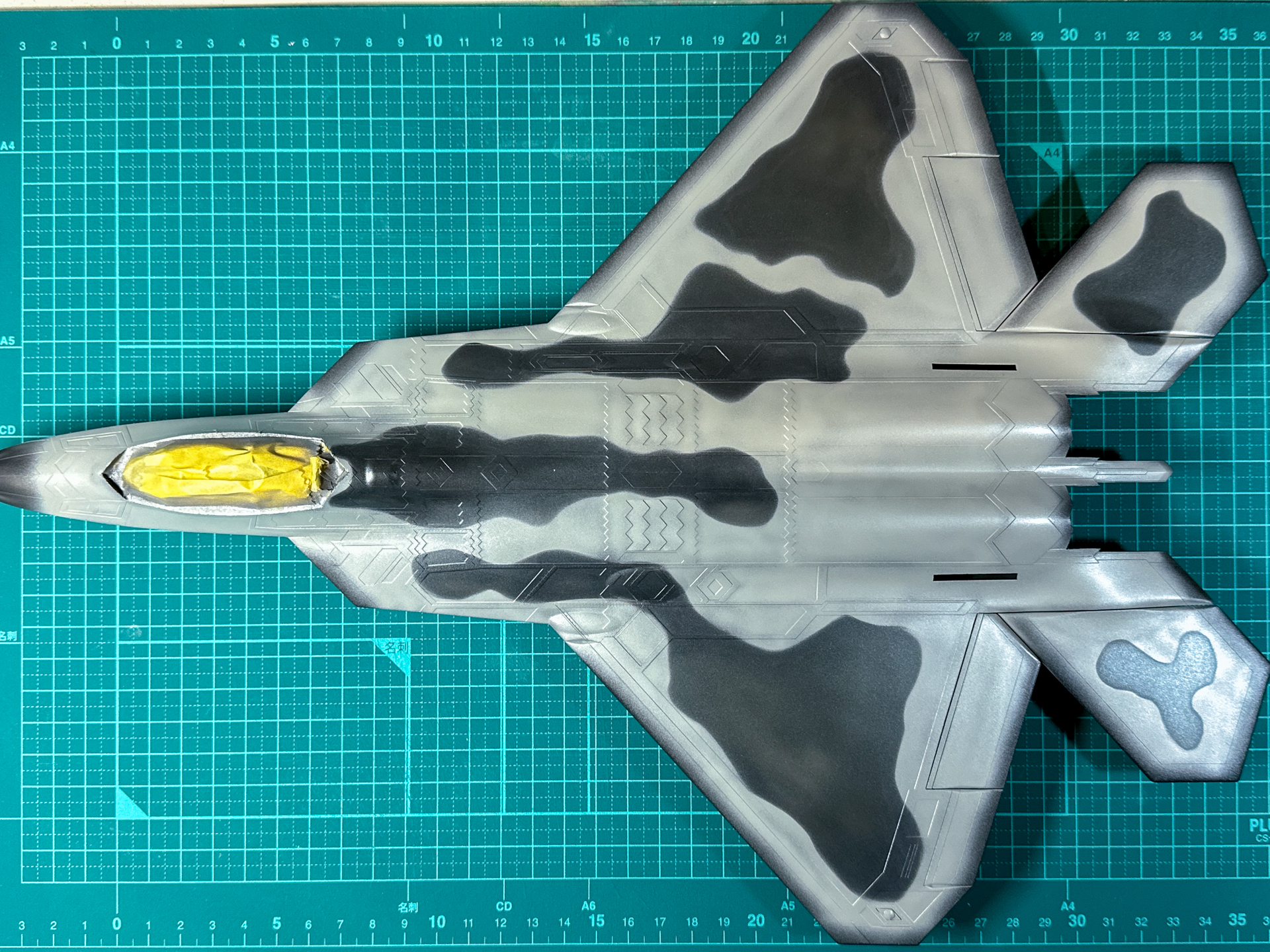 ミストを拭き取った本体。明暗の境目に少しグラデーションの入った塗装が完了しました。