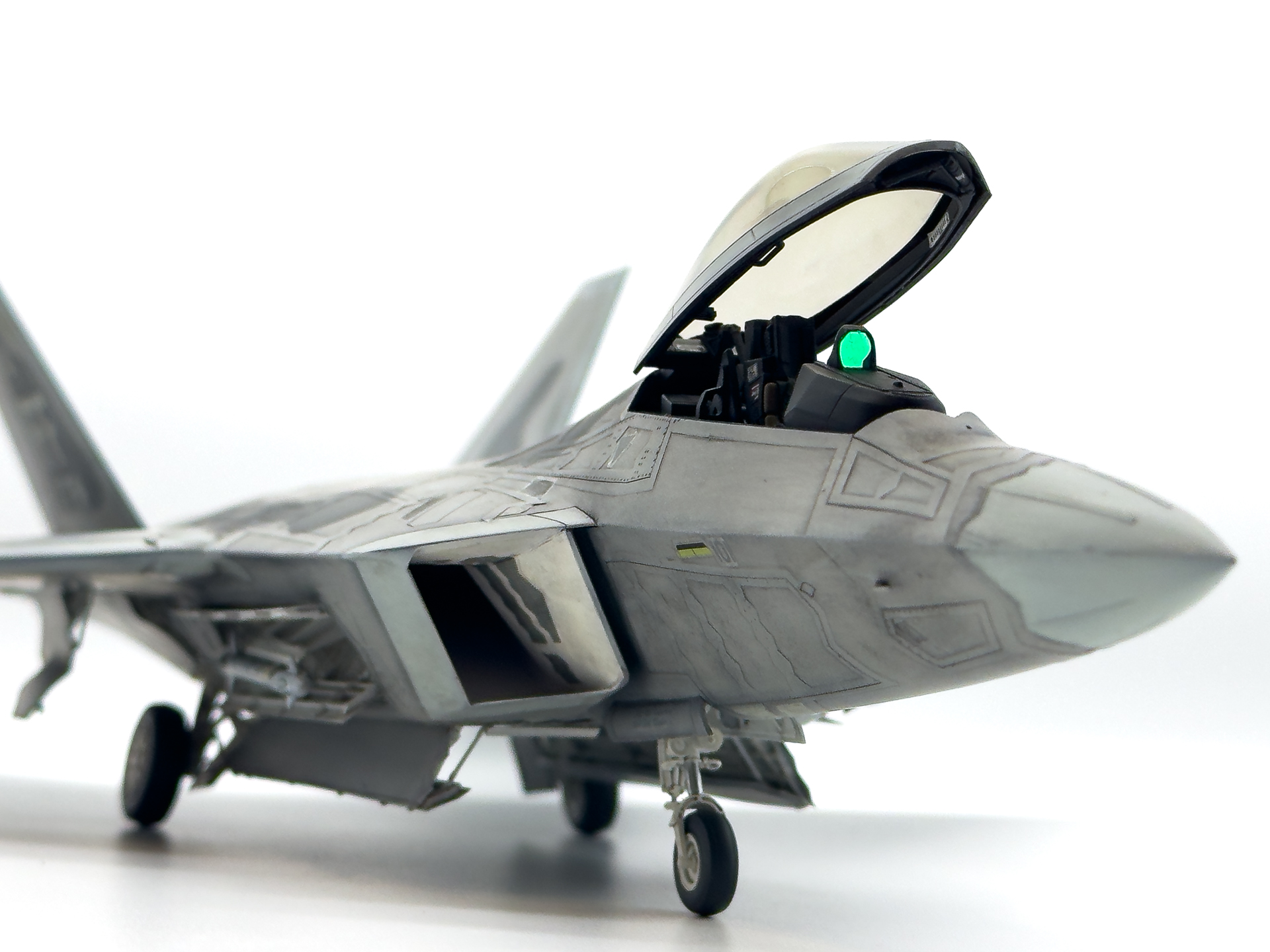 カメラ位置を下げての写真。迫力ある写真が撮影可能です。