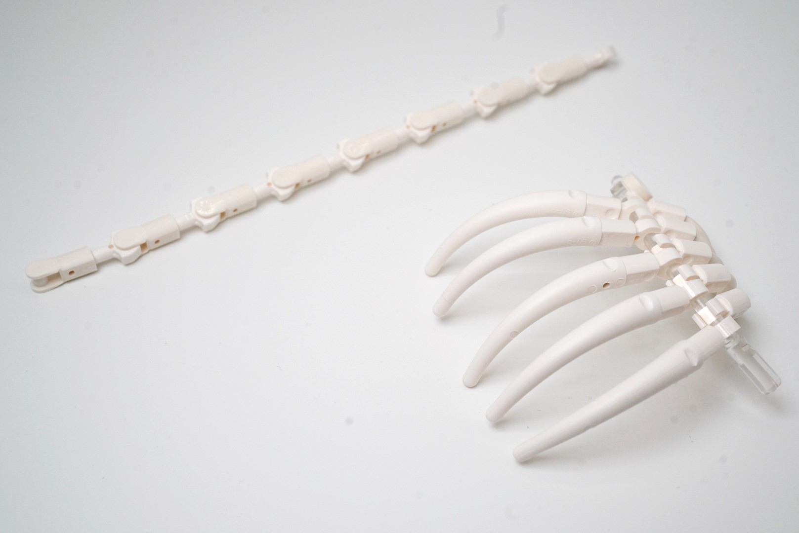 あばらと背骨のユニット。これだけだと何だかわからないかも