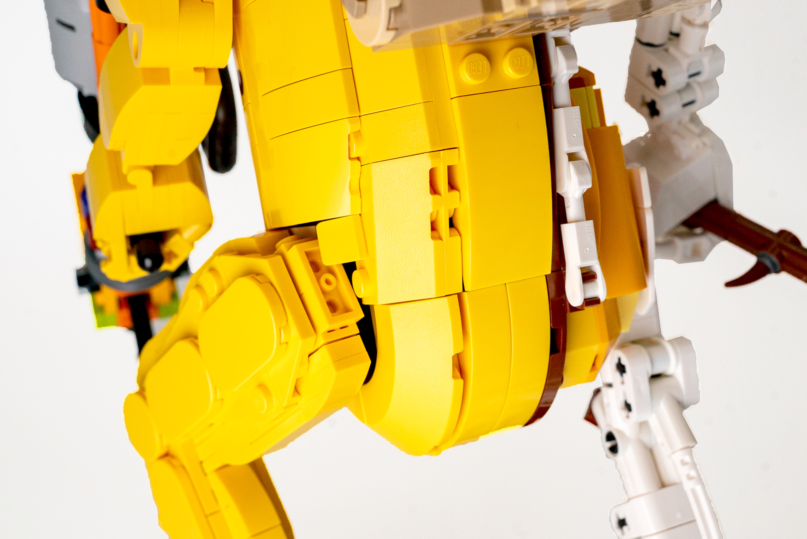 キリリと引き締まったお尻は、ピーリーの強さを感じさせるぞ