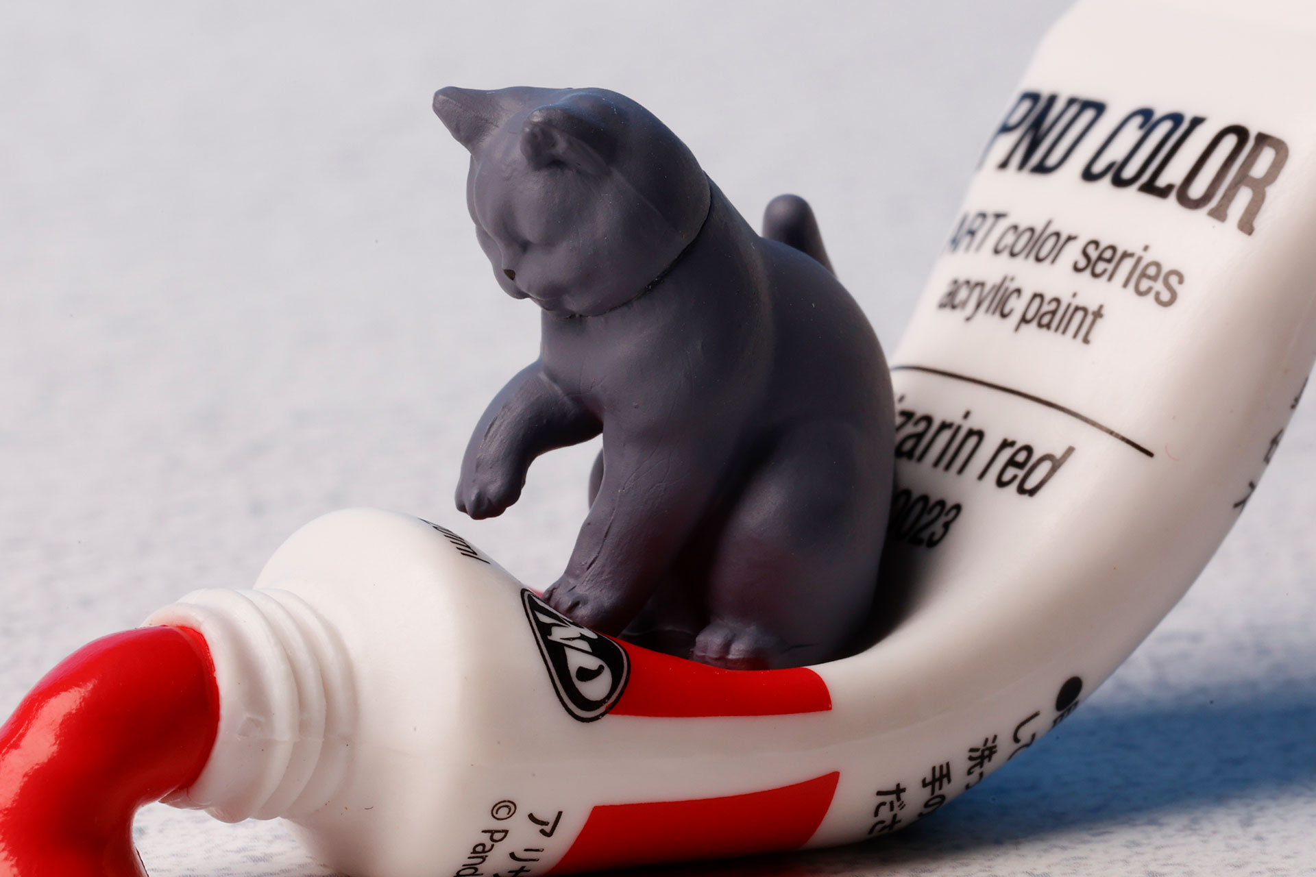 ねこのいたずらっぽい仕草が似合っている