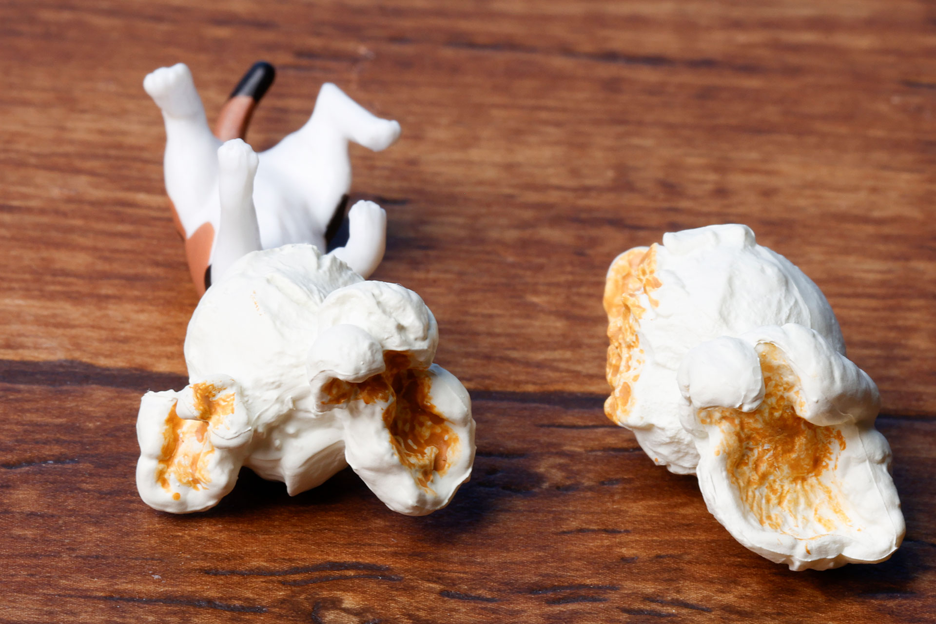 頭にすっぽりとポップコーンを被ったねこの姿が