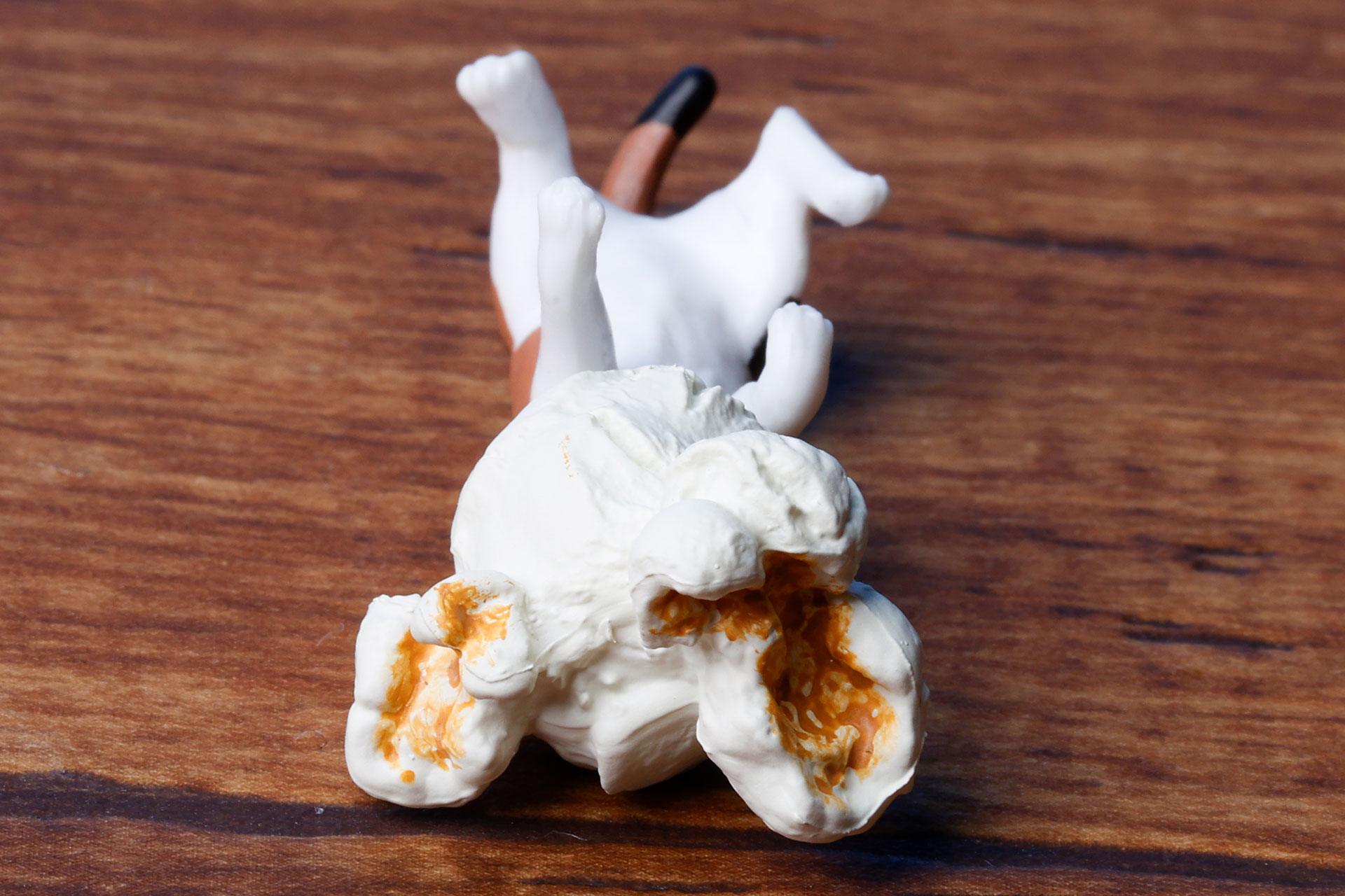 間違って食べないようにしよう