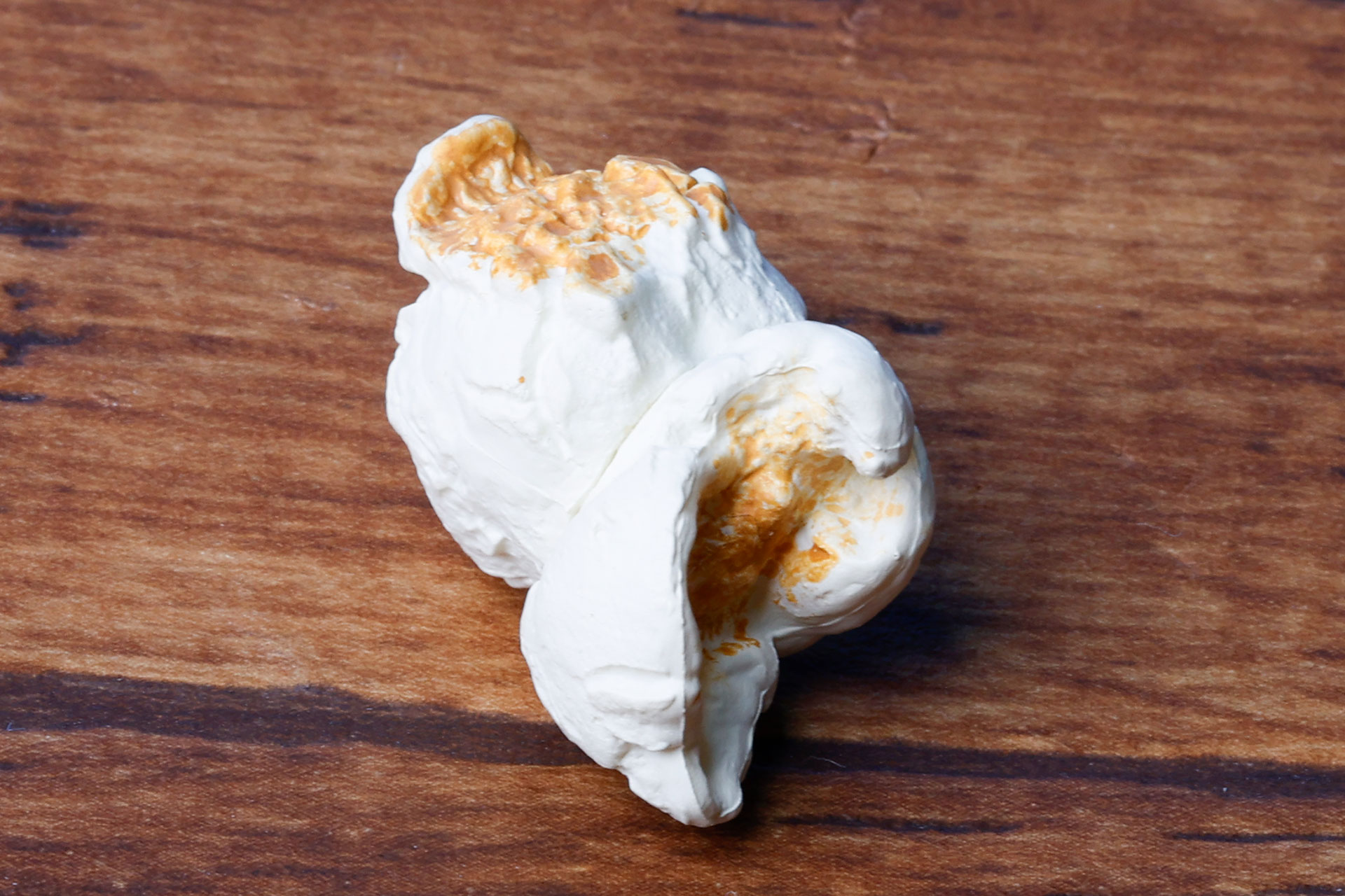 食品サンプルのようだ