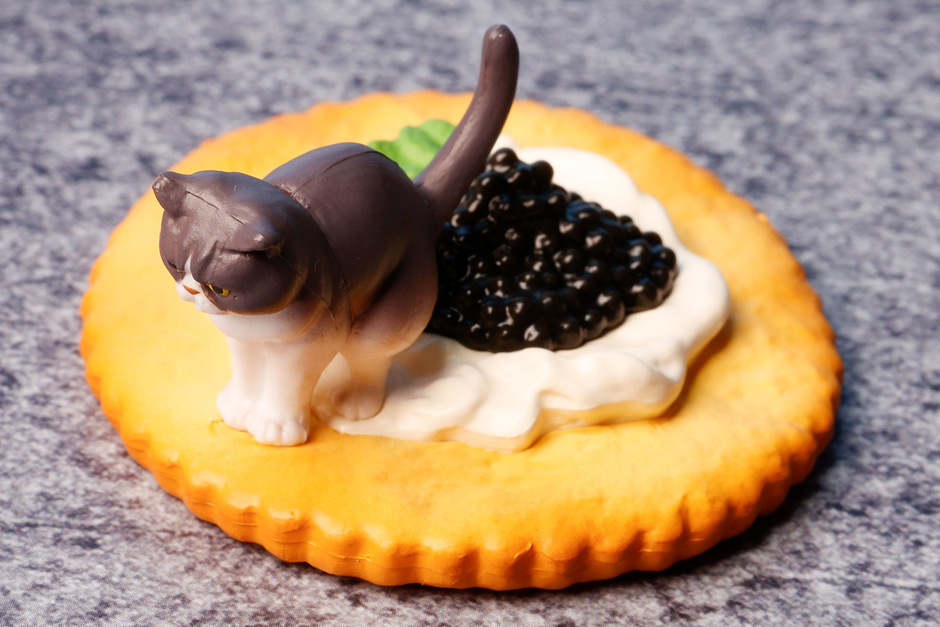 ビスケットの上にねこが乗っている