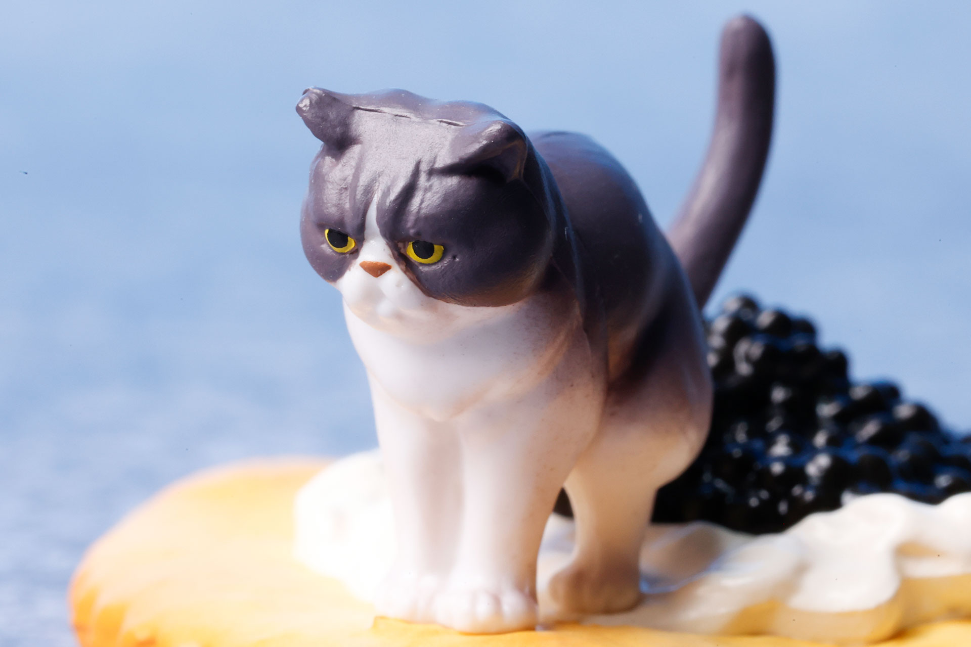 少しぶすっとしたねこの表情も素晴らしい