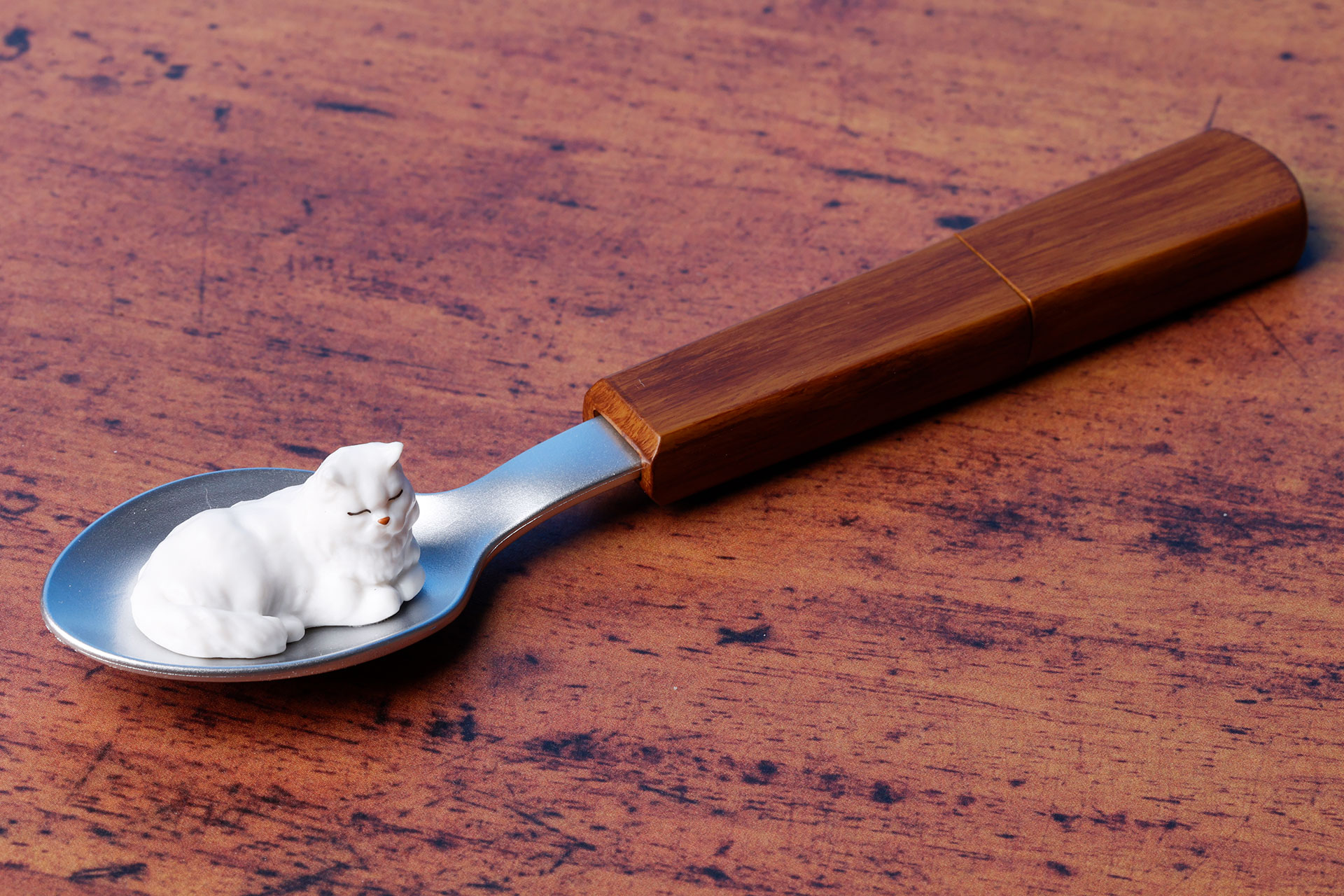 まさかこんなところにねこちゃんが!?