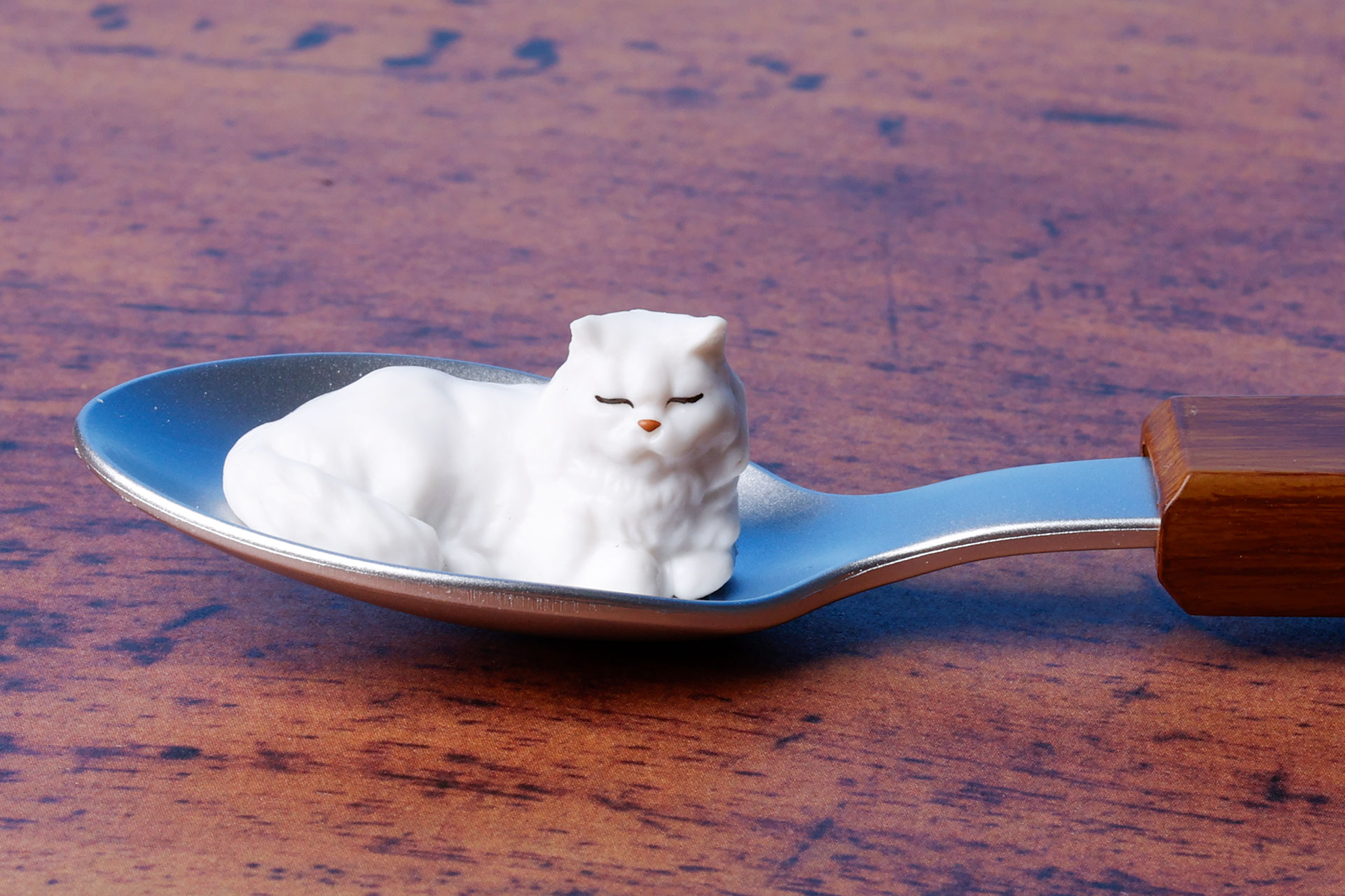 スプーンの上がかなりお気に入りのようだ