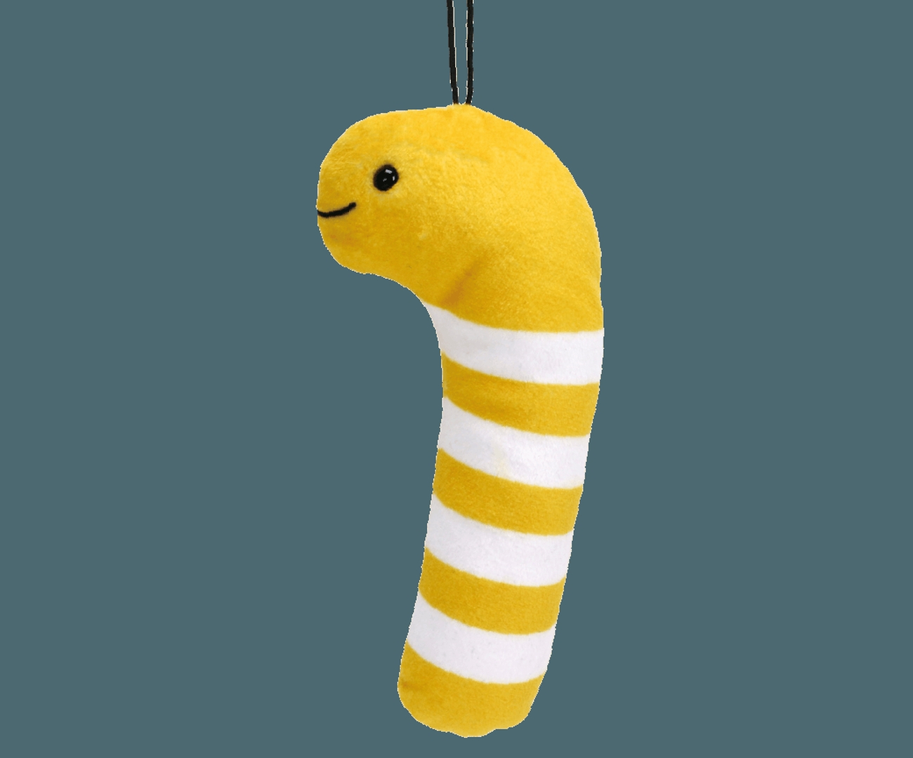 「BIGニシキアナゴ」