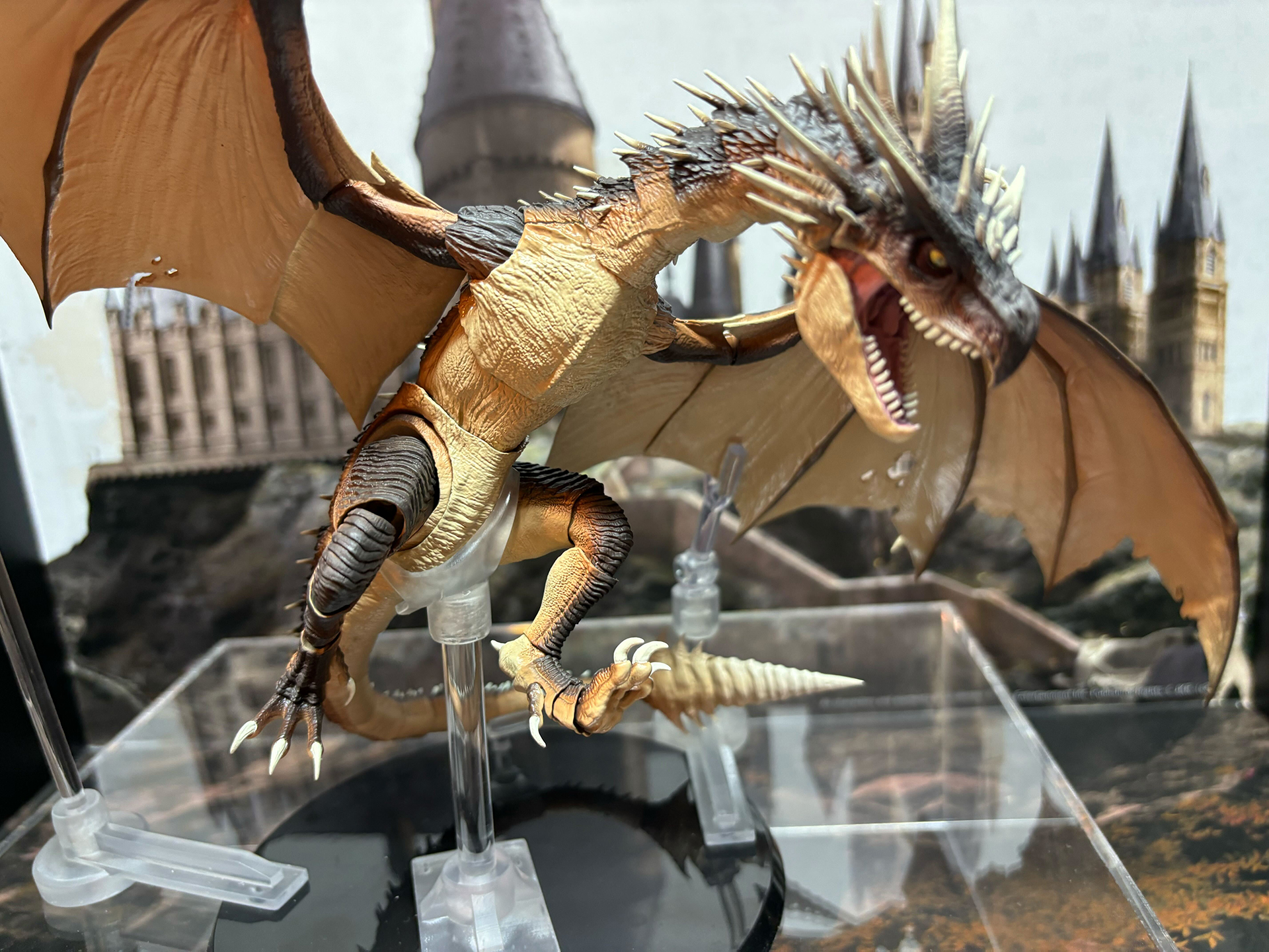 ヴォルデモート卿とハリー・ポッター