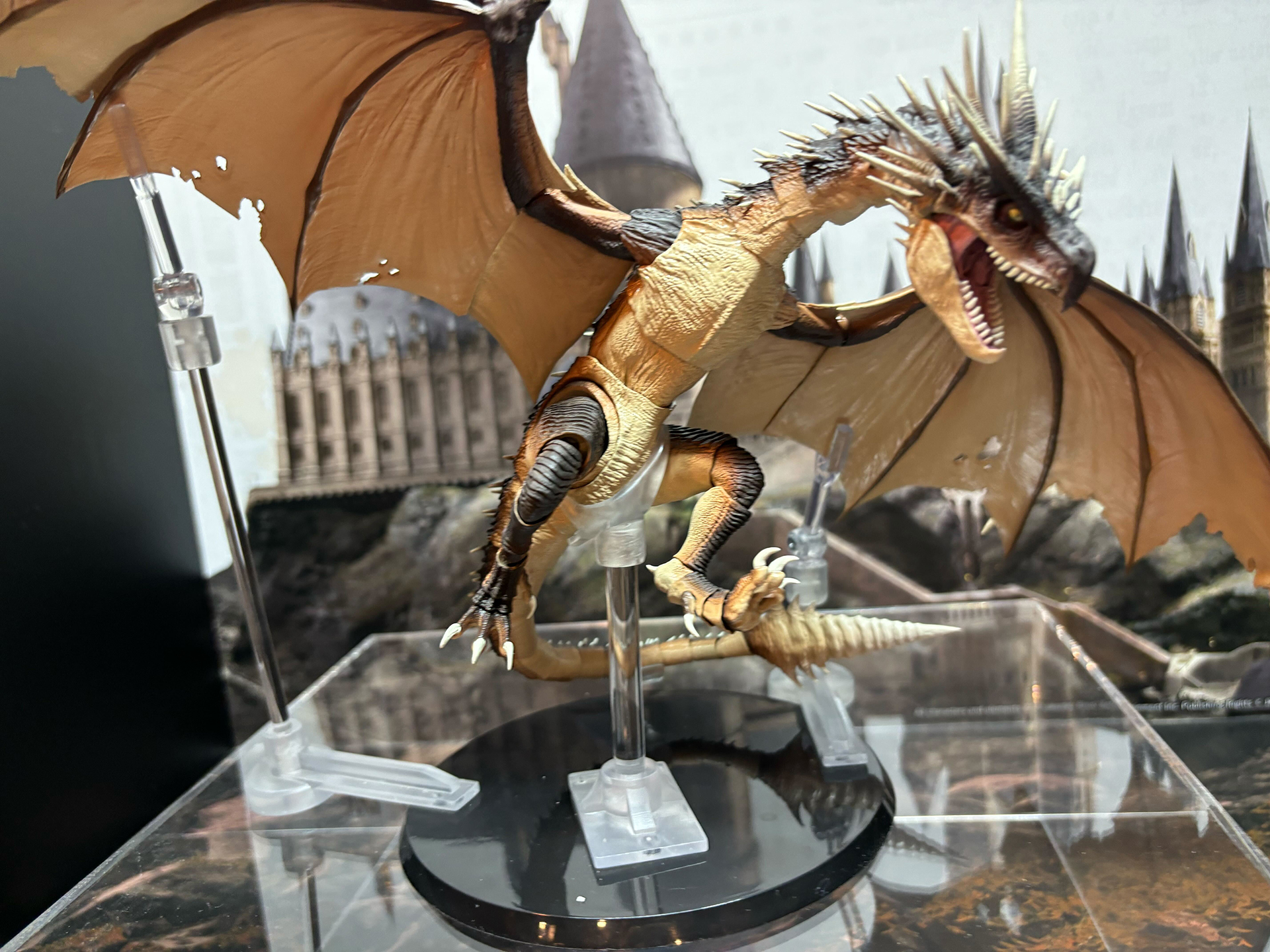 ヴォルデモート卿とハリー・ポッター