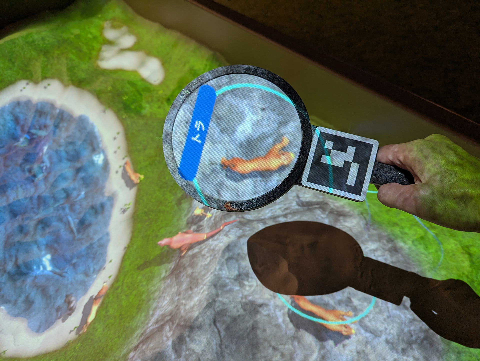 砂場内を動いている動物に虫眼鏡を近づけるとトラを発見できた！