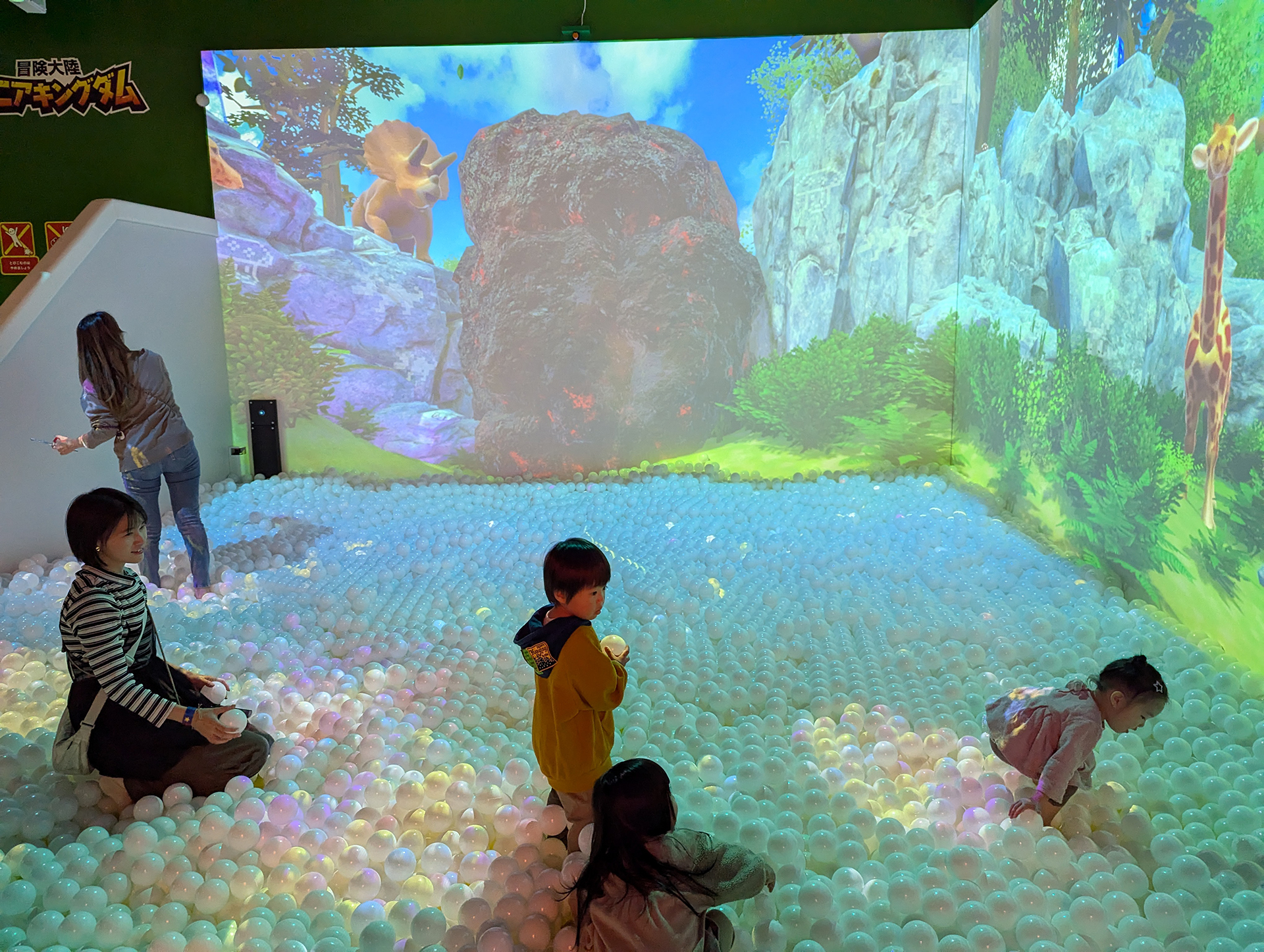 ボールが敷き詰められたエリアで自由に遊べるアトラクション「冒険！アニアキングダム」