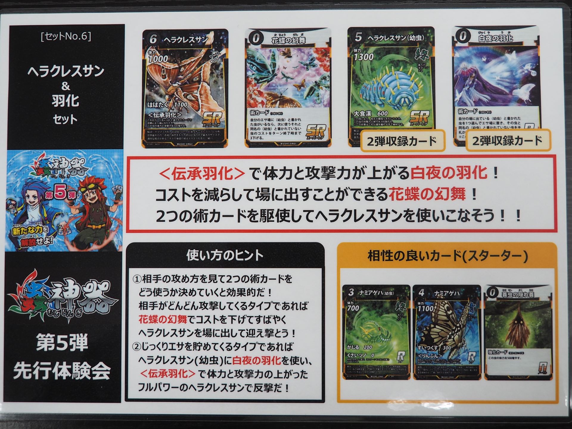 「ヘラクレスサン＆羽化」セットの説明書