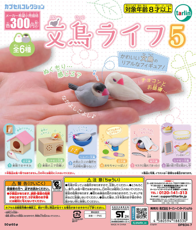 文鳥ライフ5