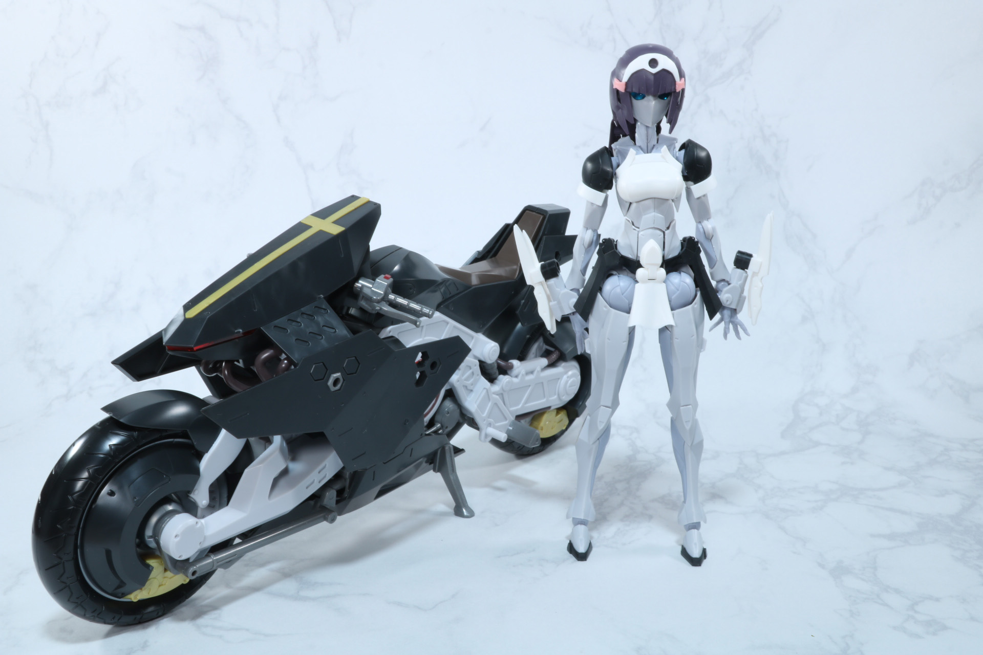 「ノーヴィス」との比較