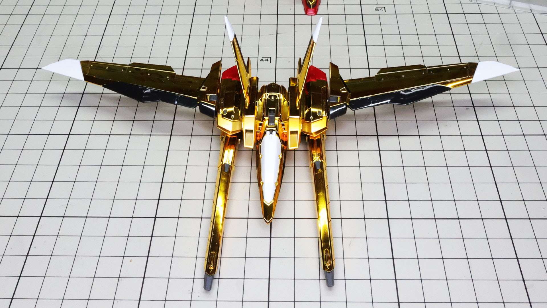 完成したオオワシ