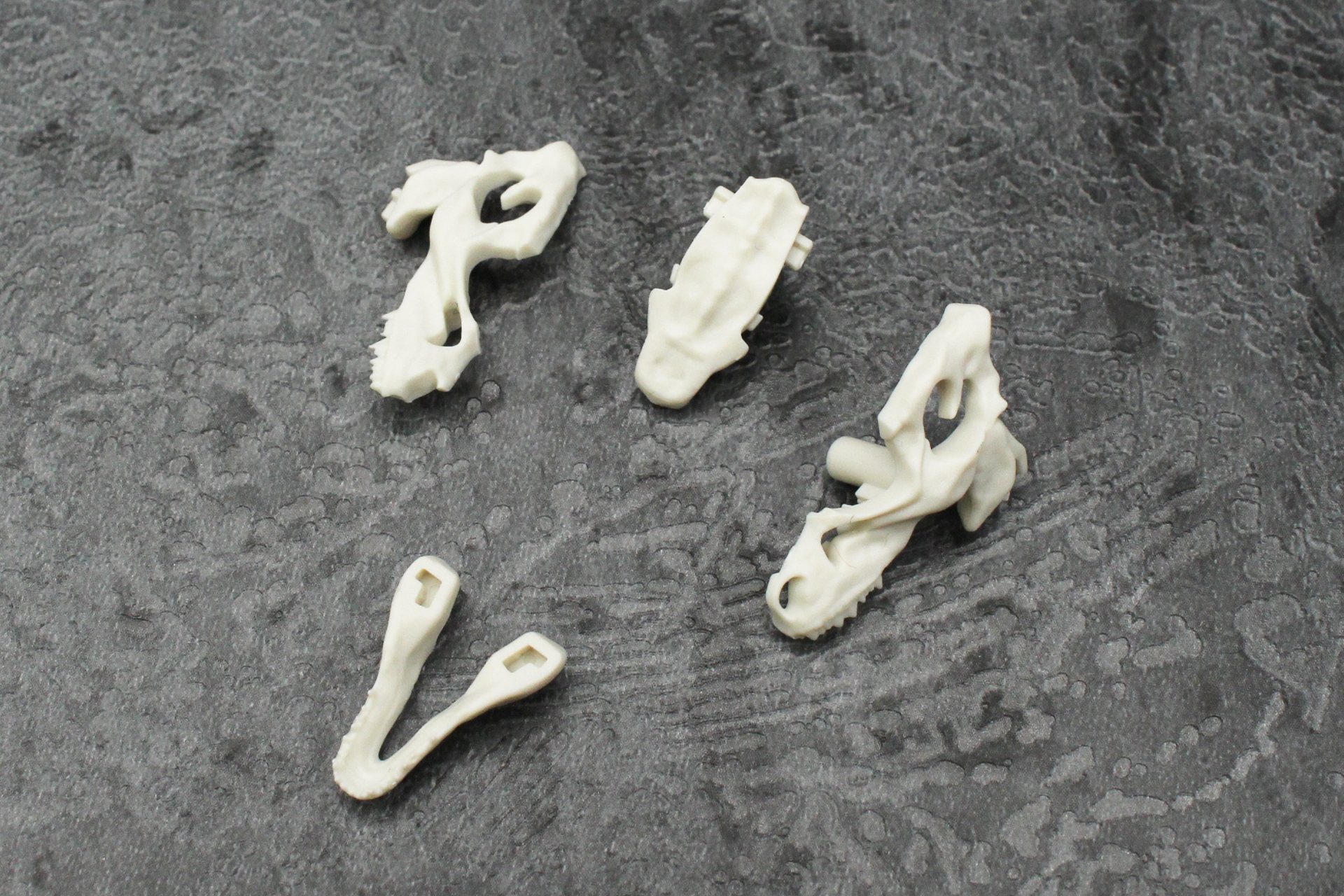 まずは骨格を組み立てていく。こちらは頭部のパーツ。