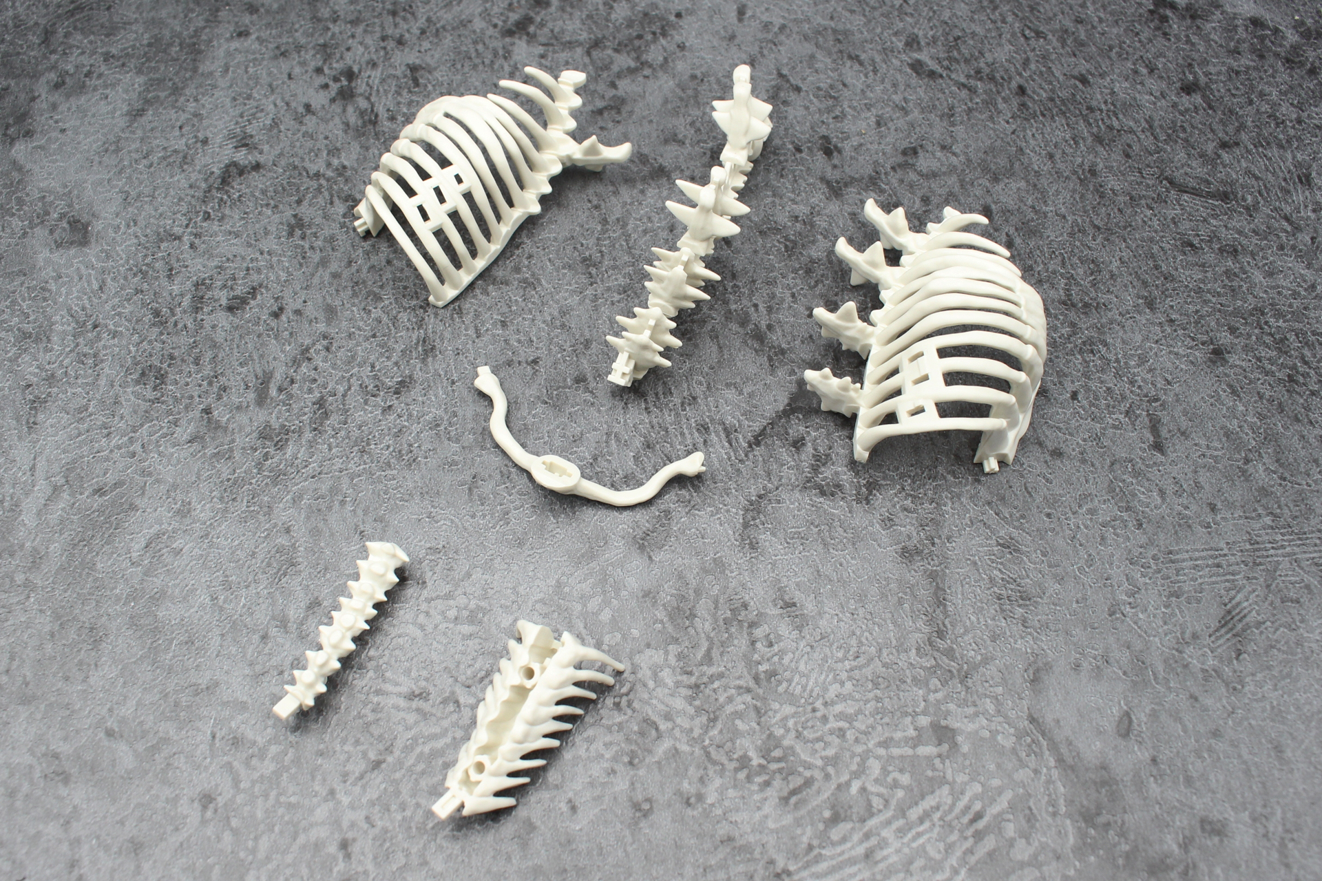 胸部と首回りの組み立て