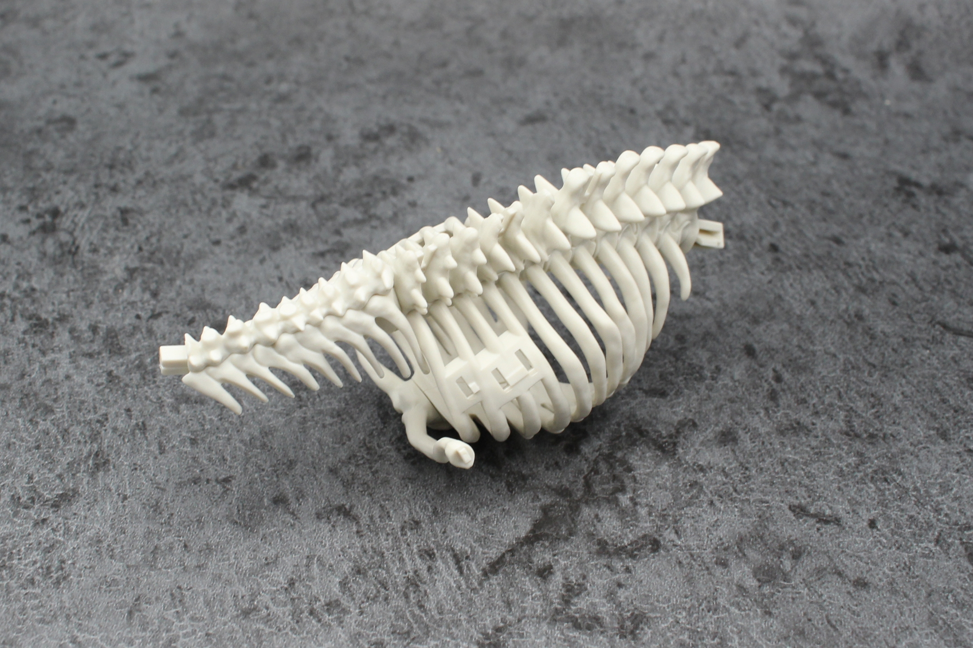 首と鎖骨を取り付けて完成