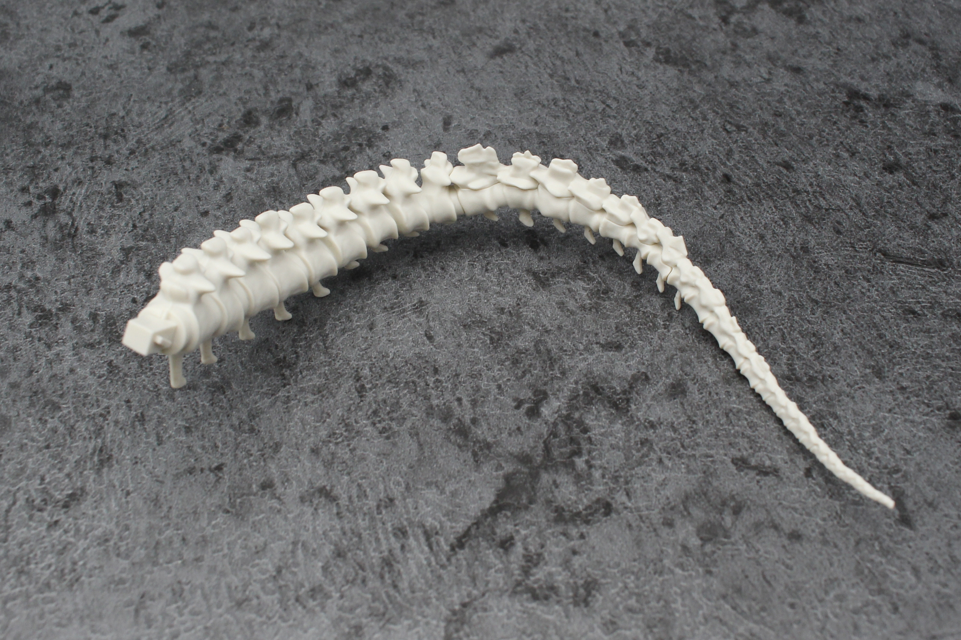 尻尾は先端から組み立ていてく