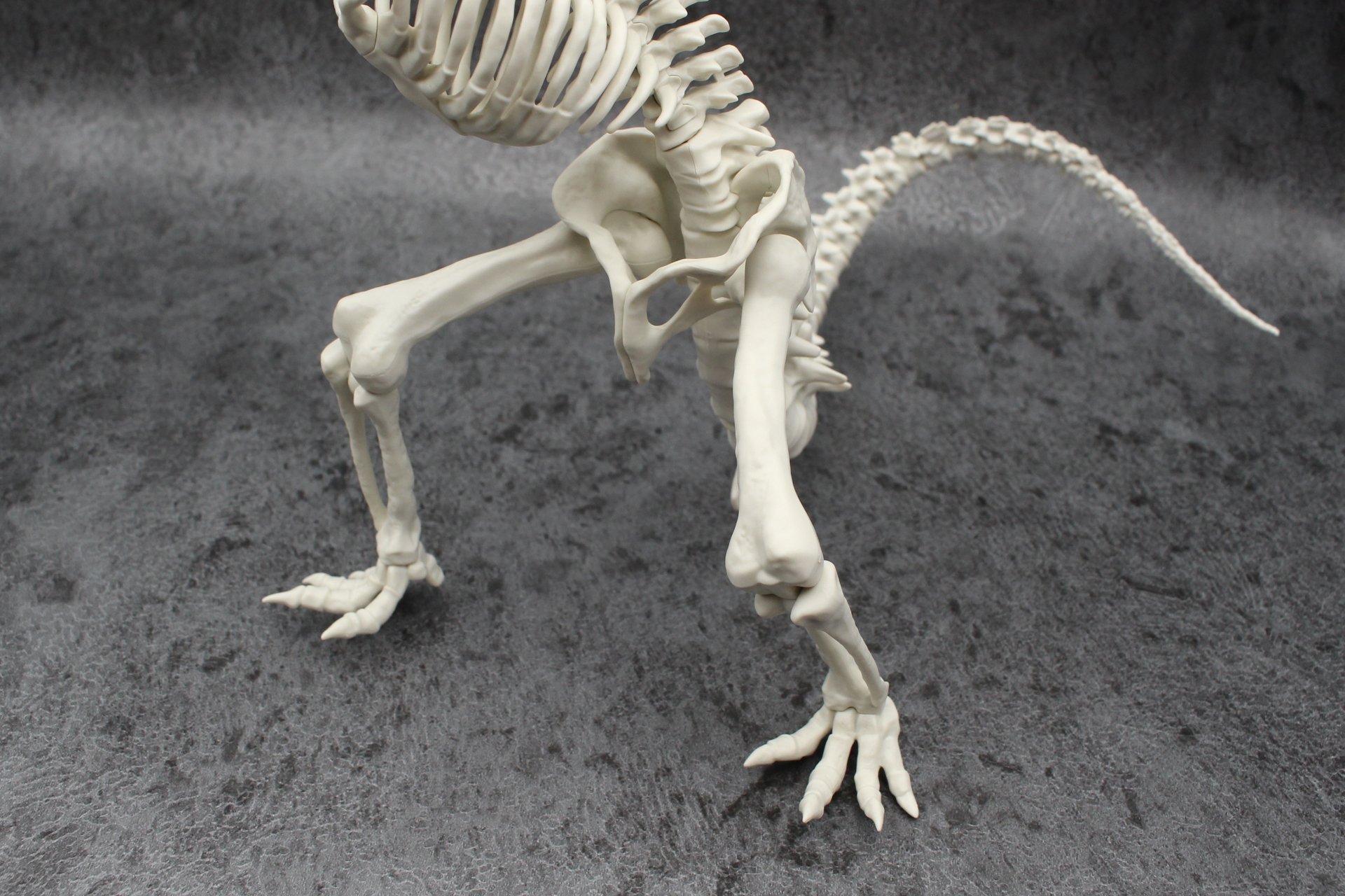 完成した脚部を骨盤部分に取り付ける