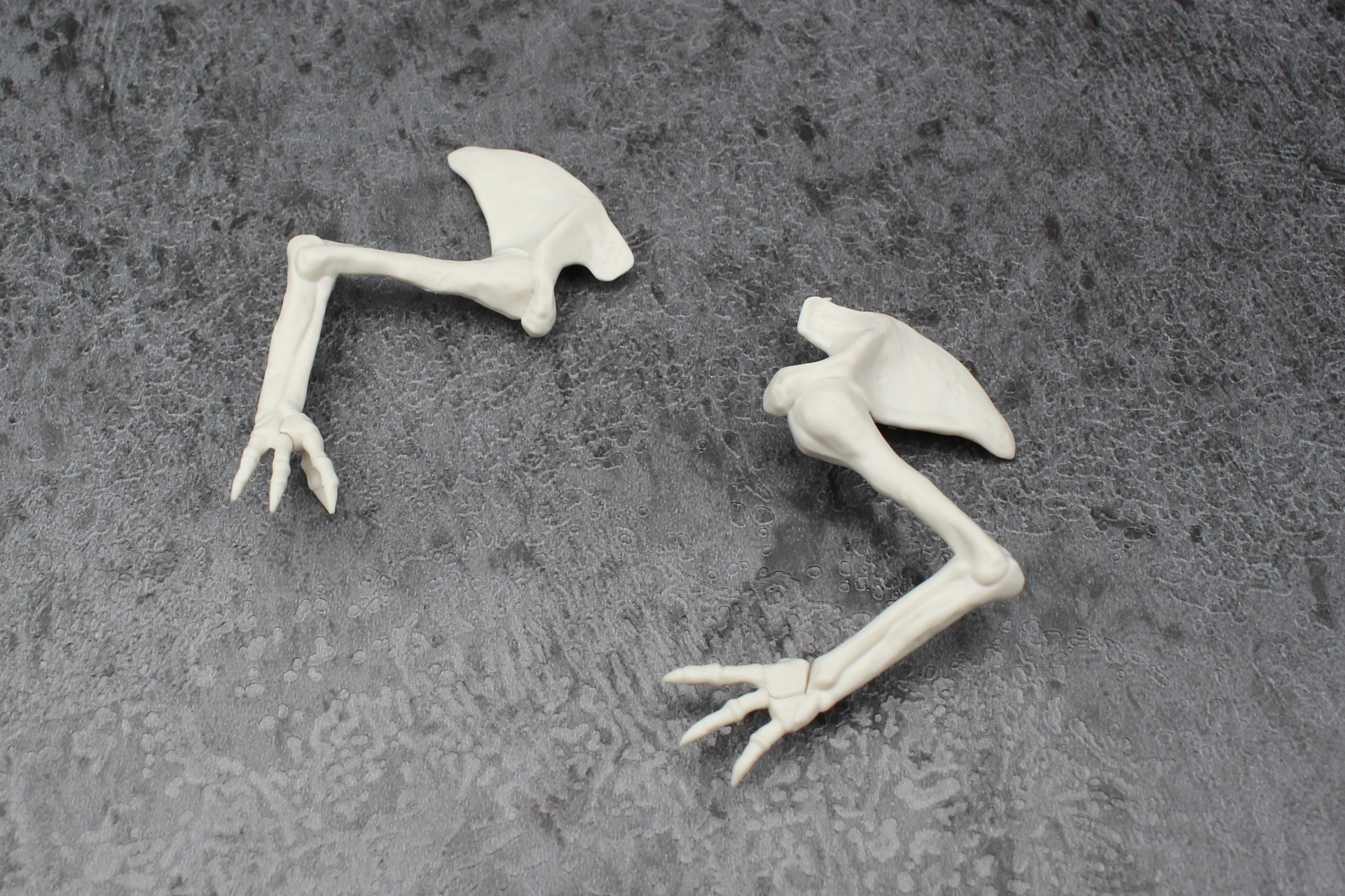 両方の腕を組み立てる