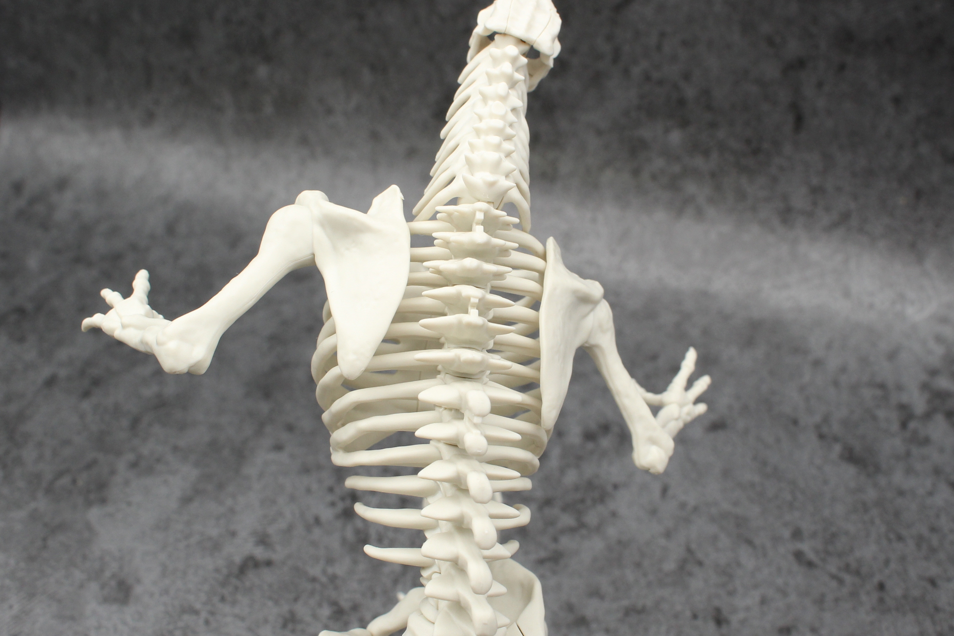 両腕を取り付けた状態