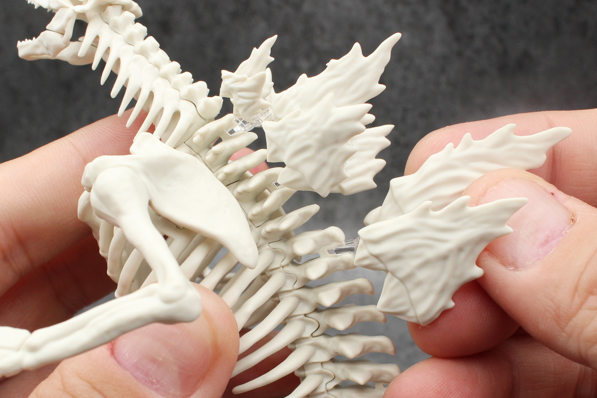 クリアパーツを背骨のスリットに差し込んでいく。場所や順番も説明書を確認して取り付けよう