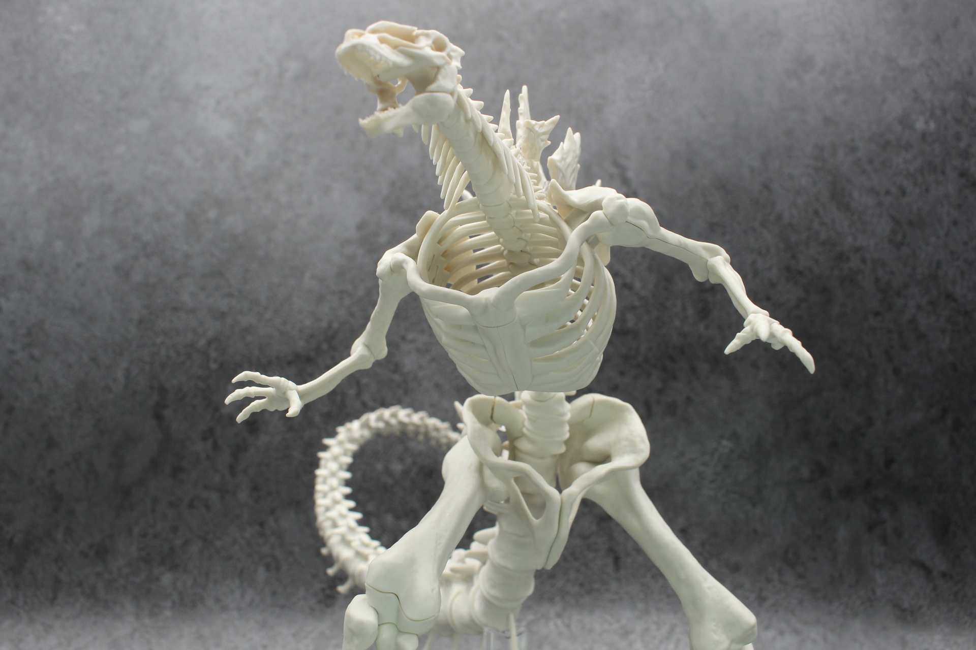 下から眺めると博物館のような雰囲気を味わえる