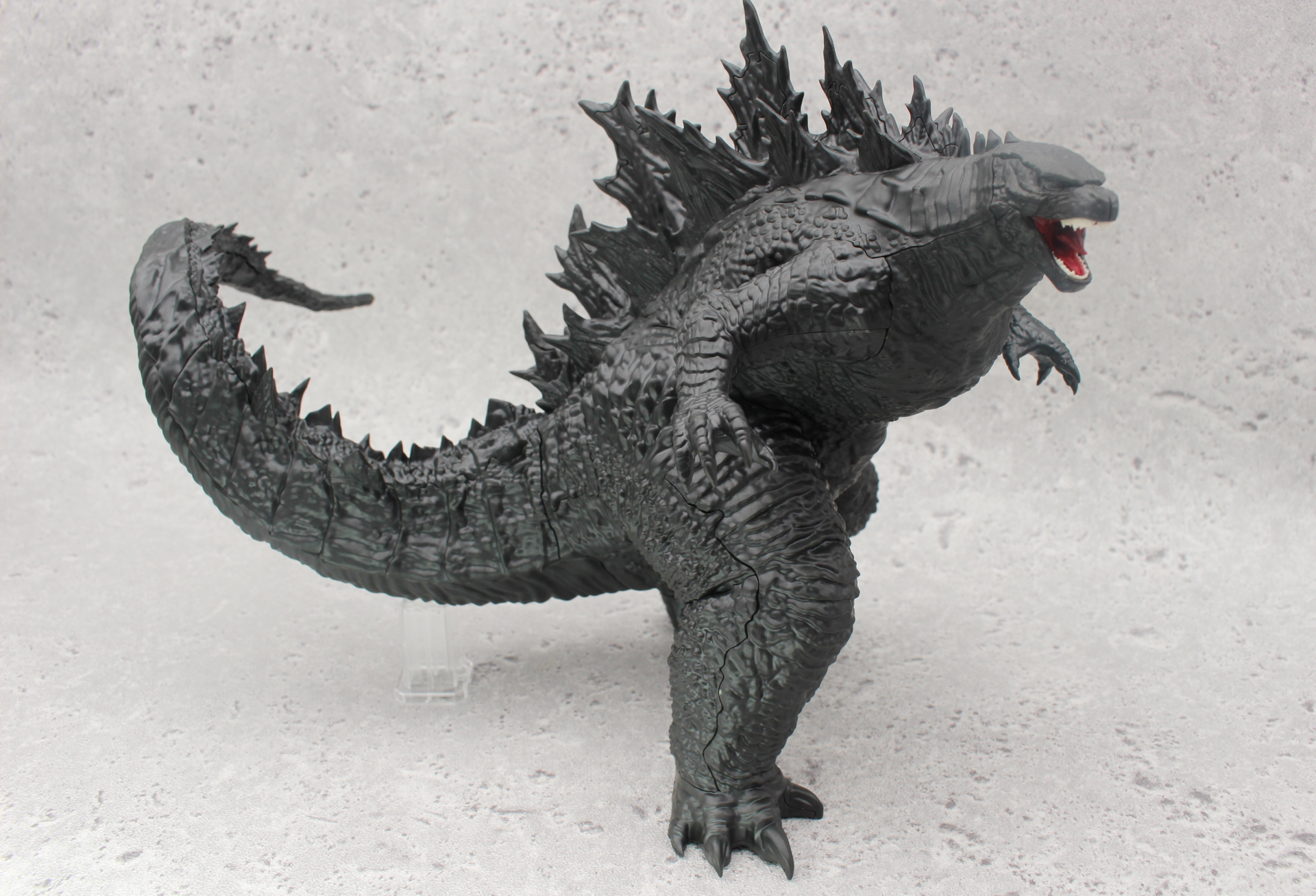 横からでも尻尾の動きはわかる