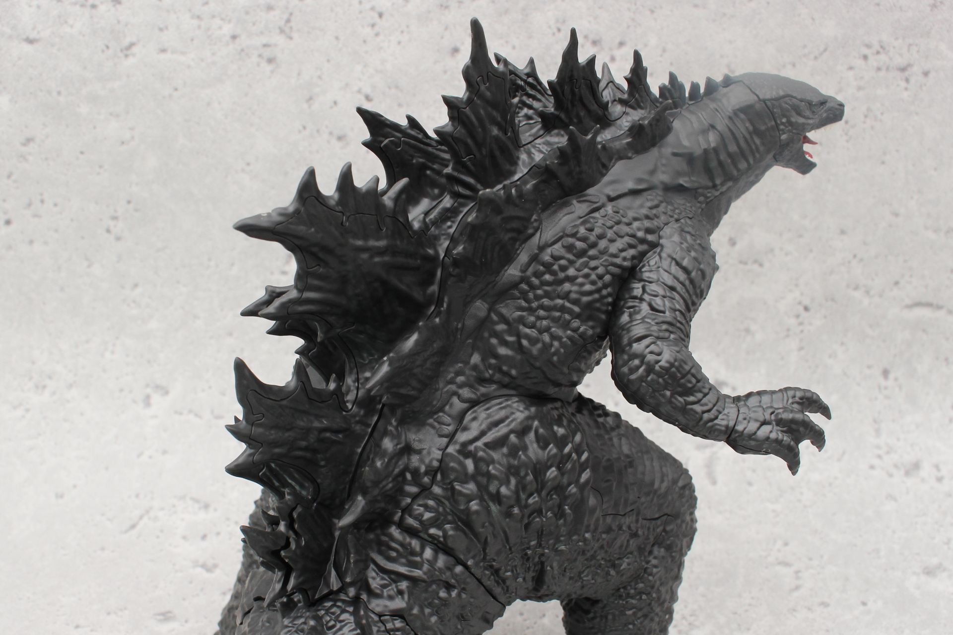 迫力の背ビレはエッジが立った鋭い形状に