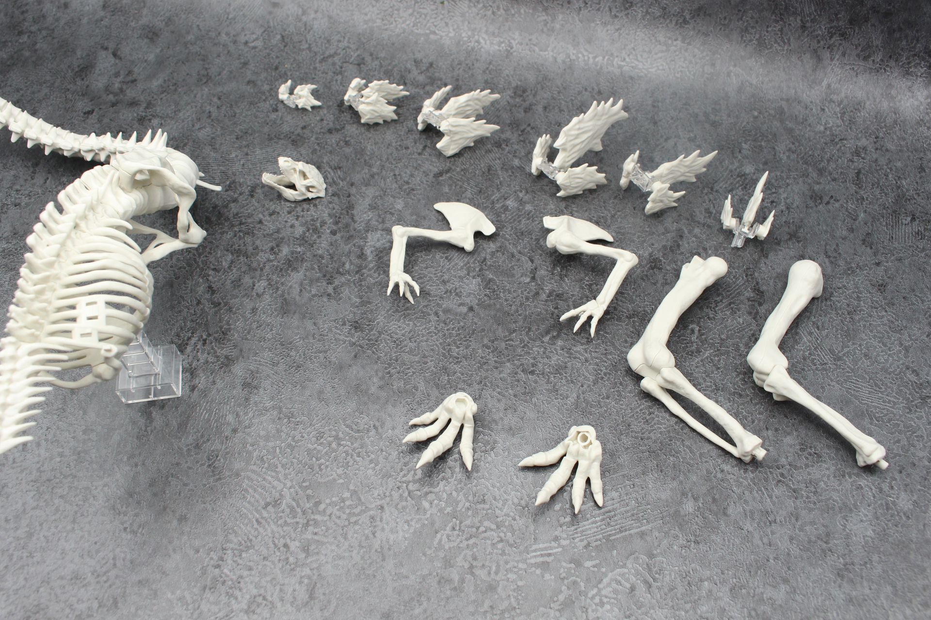 分解はここまででOK。頭部と背ビレの骨は使わないので保管しておこう