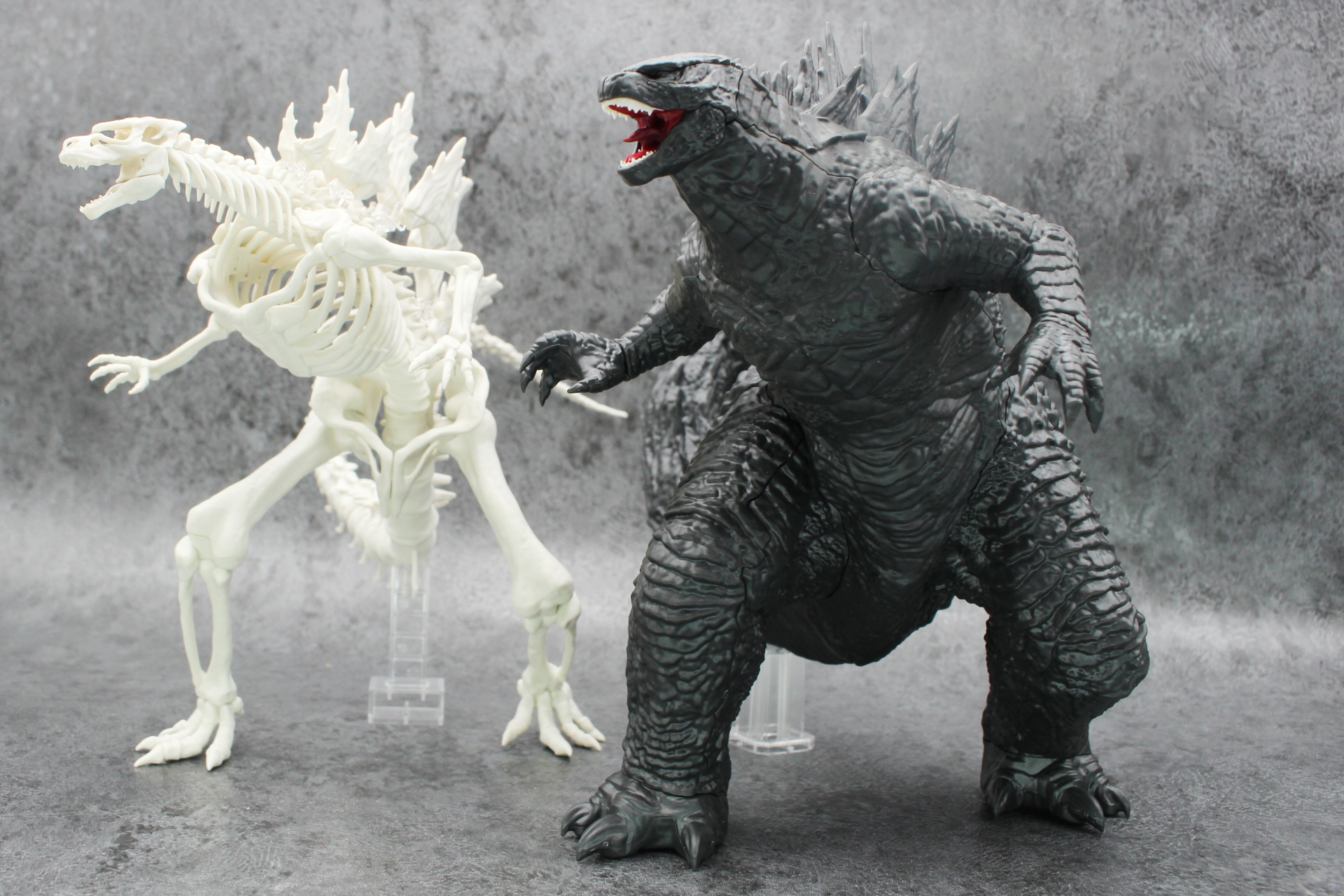 骨格と外皮を並べるとまたいい感じになる