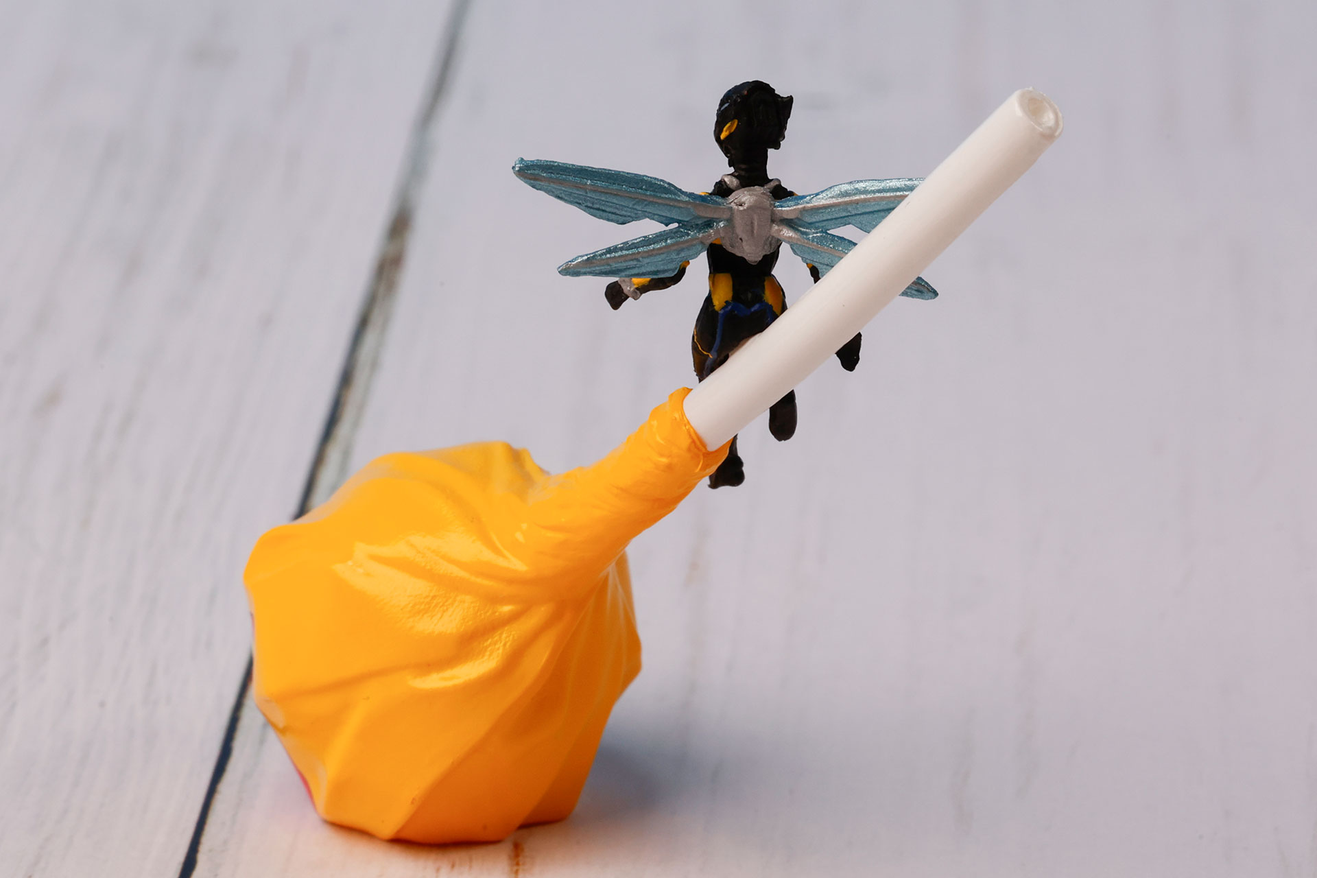 背中側から見ると羽の辺りがよくわかる