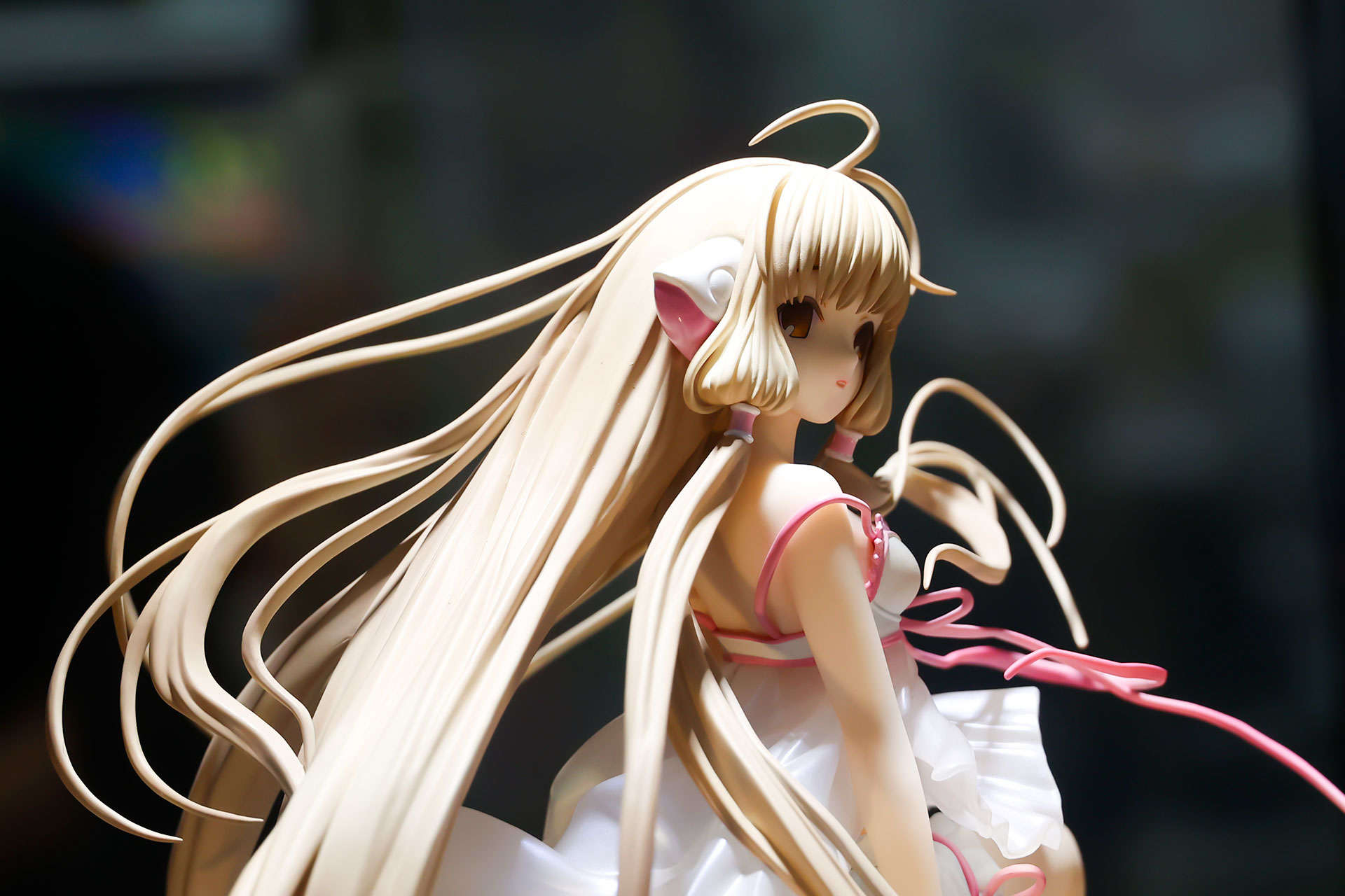 イラストのような繊細さを感じさせる