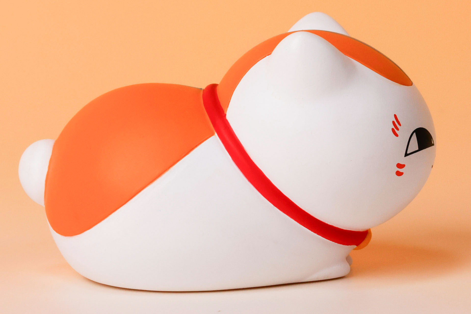 オレンジ色の毛の境目のラインが美しい