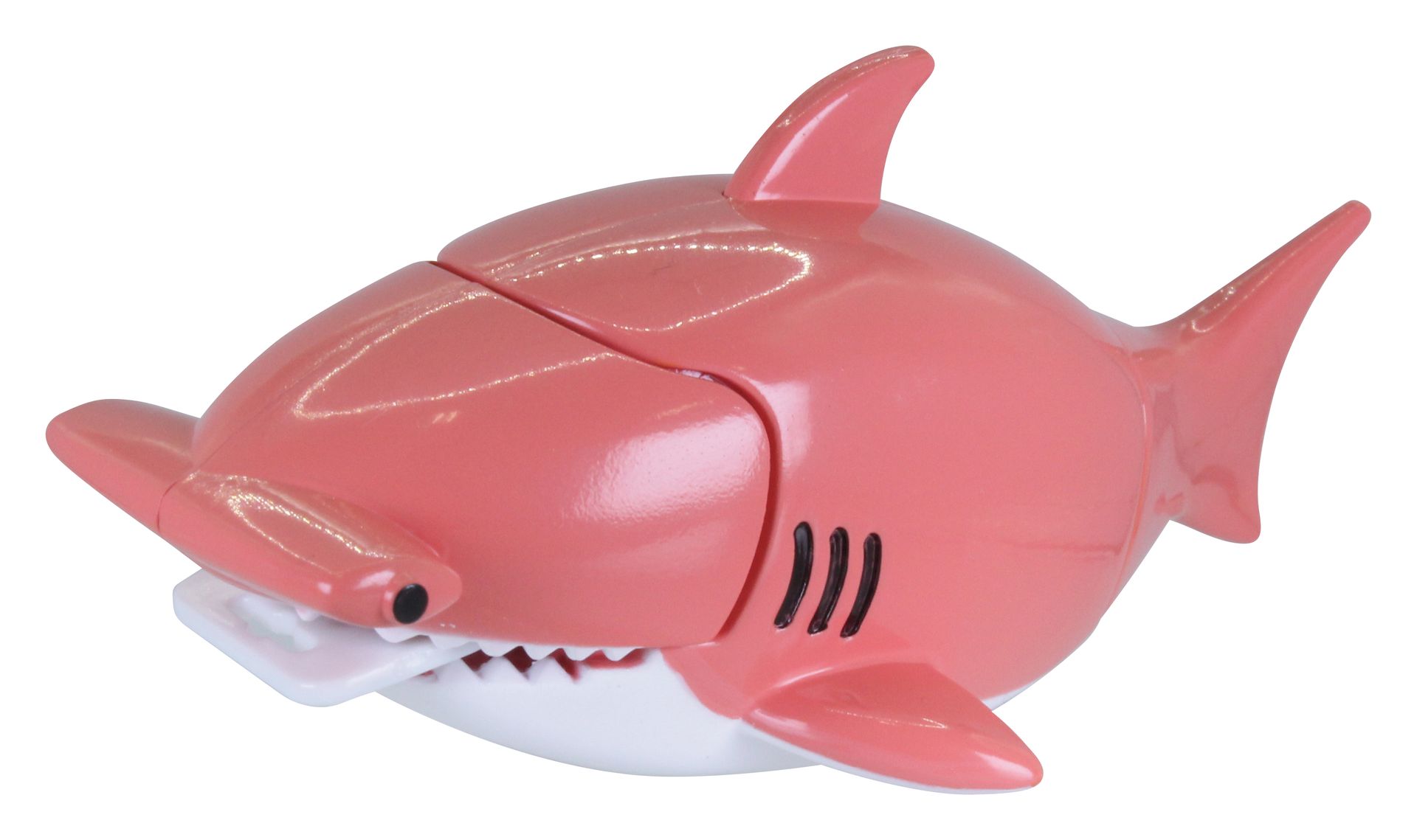 アカシュモクザメ