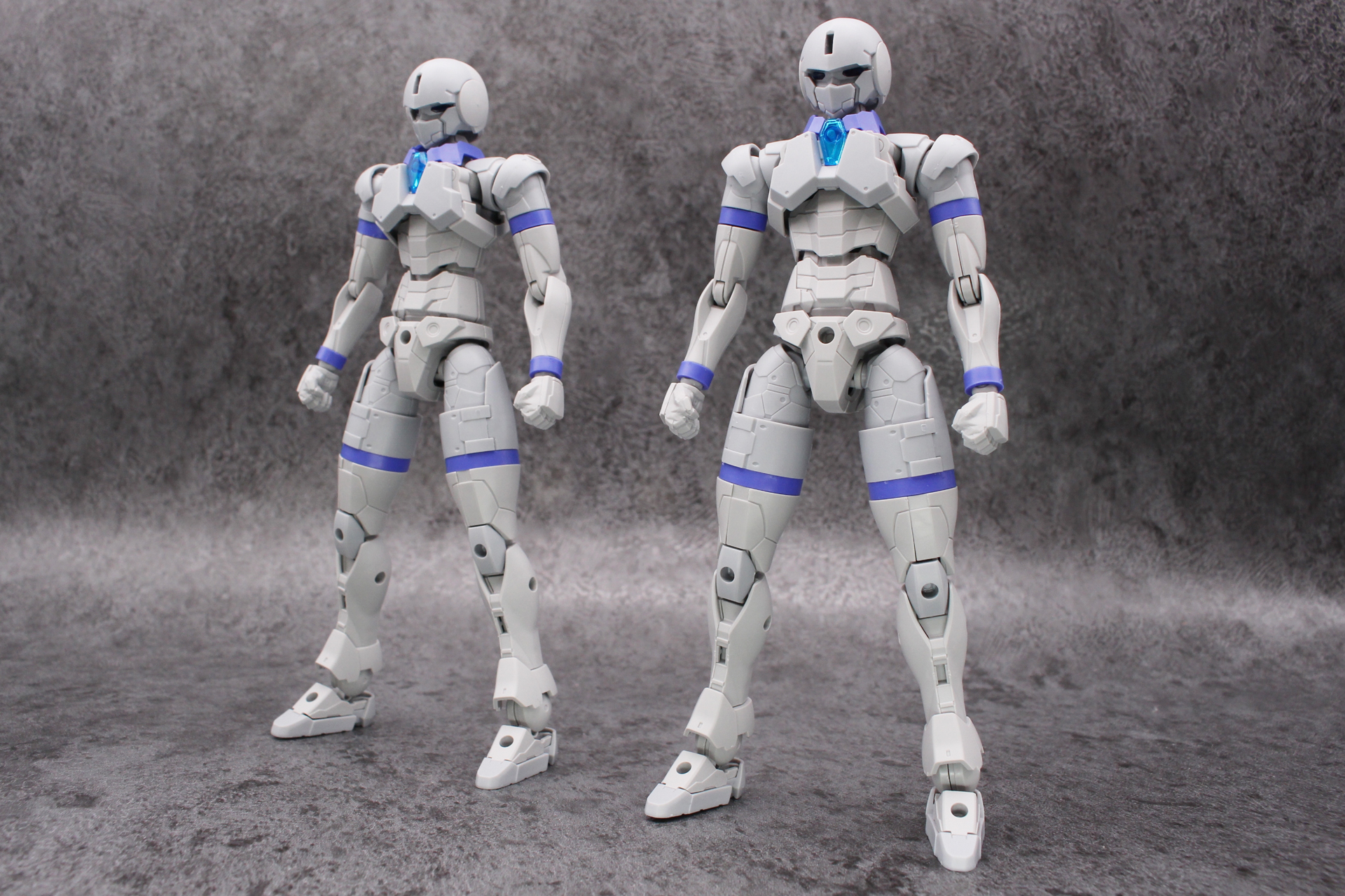 区別がつかないと思うが、左がリーベルナイトのシルエット。パーツはもちろん、色にも違いはない