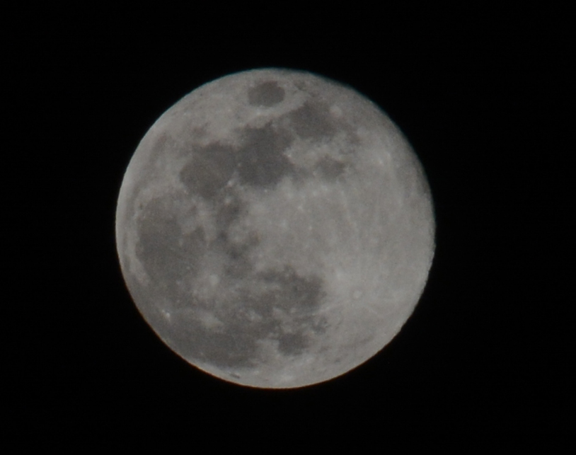 こちらは筆者が自宅周辺で撮影した月の写真。200mmの望遠でも月の表面の識別ができる